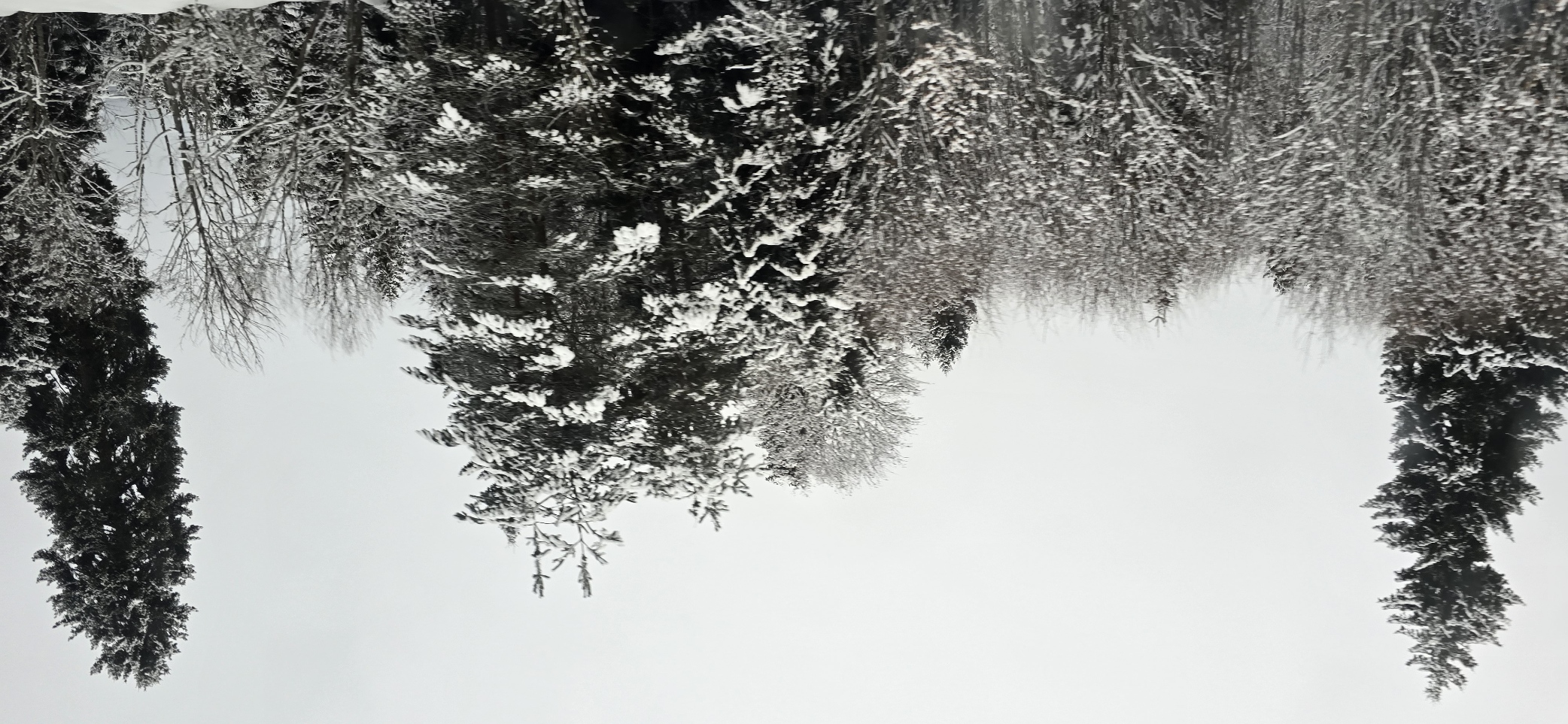 Санаторно - оздоровительный тур в Боржоми  для  перезагрузки (2/31)
