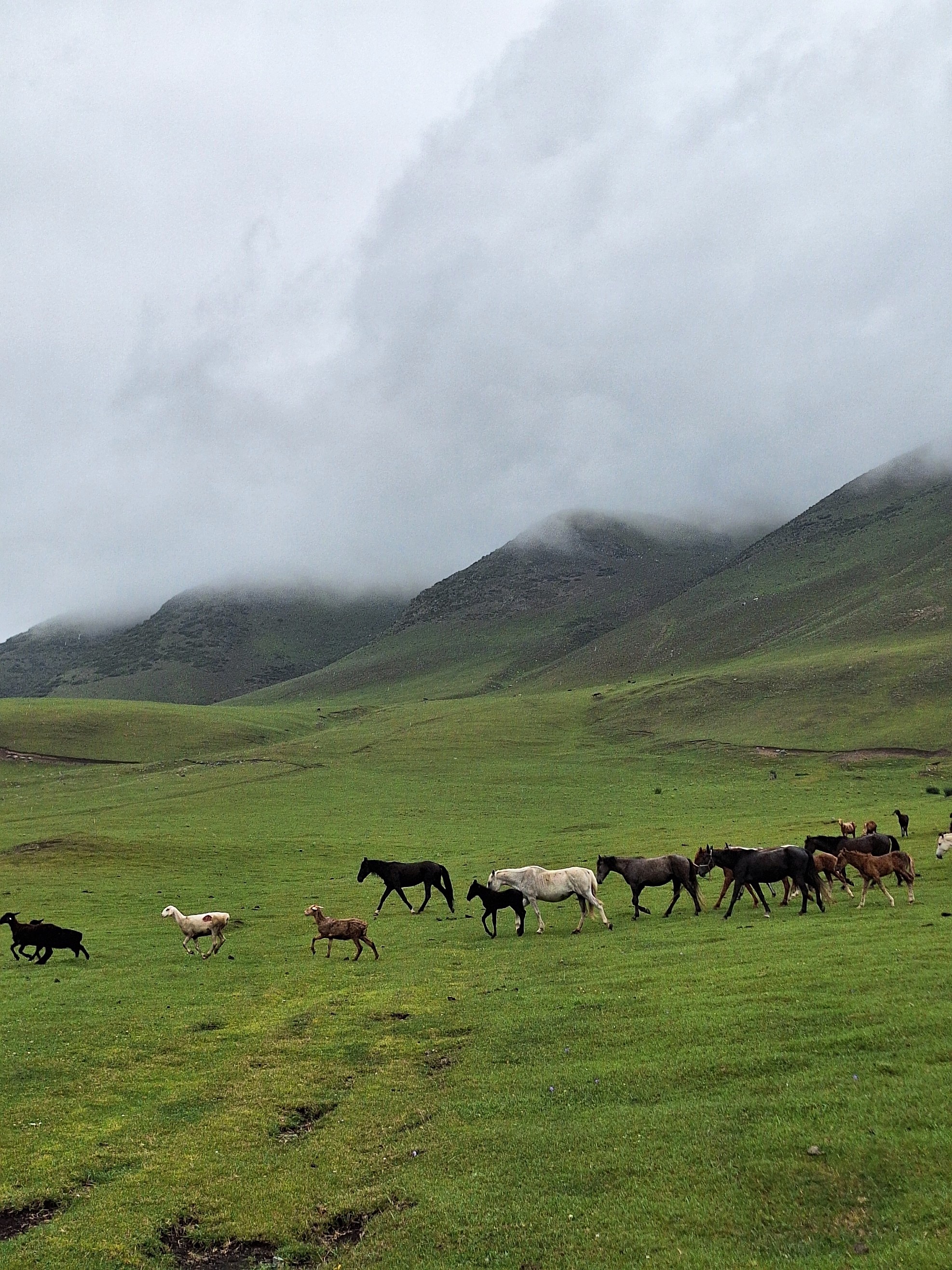 Сонкуль и Кел-суу за четыре дня (14/25)