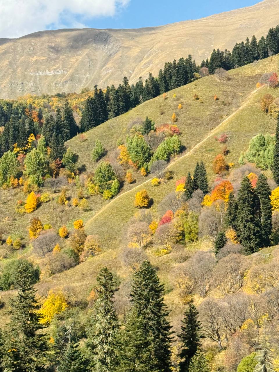 Настроение - Горы! Активный тур по Карачаево-Черкесии! (34/116)