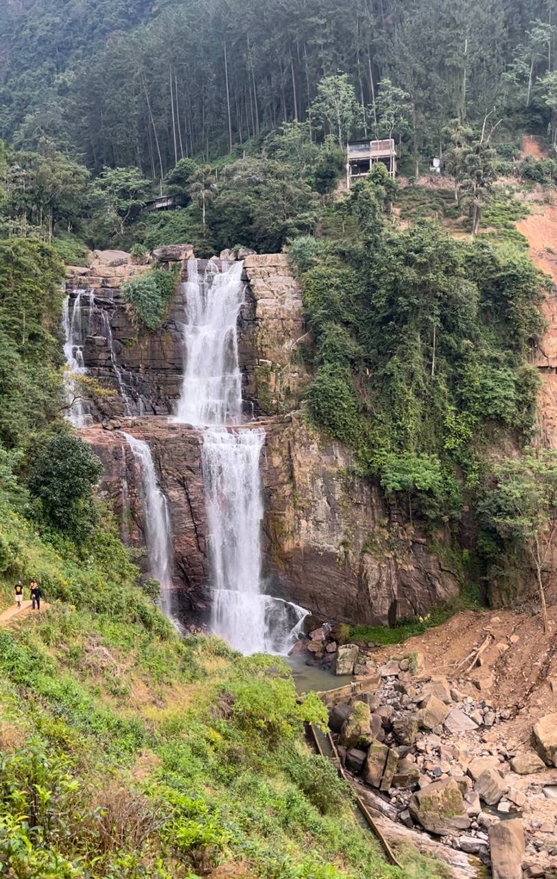 Слоны, башня, чай и водопад