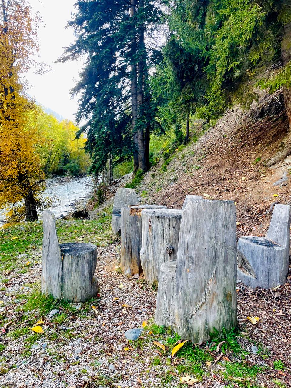 Настроение - Горы! Активный тур по Карачаево-Черкесии! (33/116)