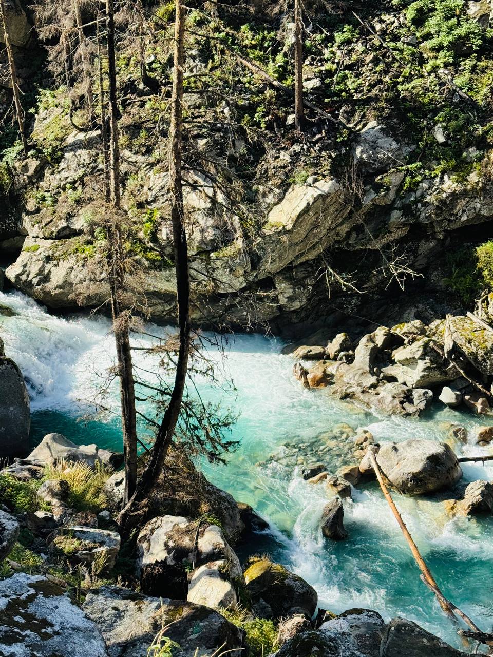 Трип по Карачаево-Черкесии: Домбай и Архыз с комфортом в мини-группе