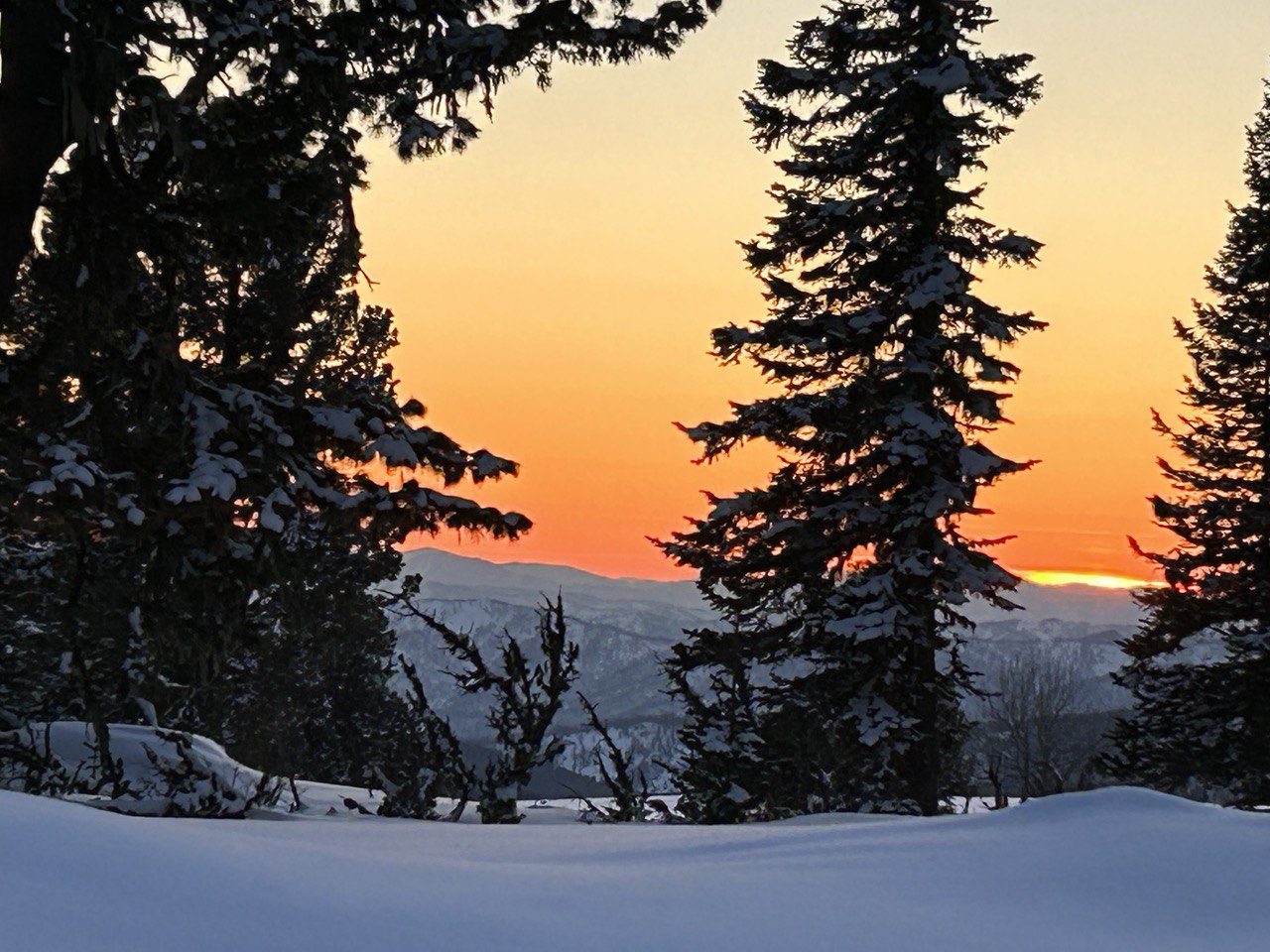 По Следам Йети (2/12)