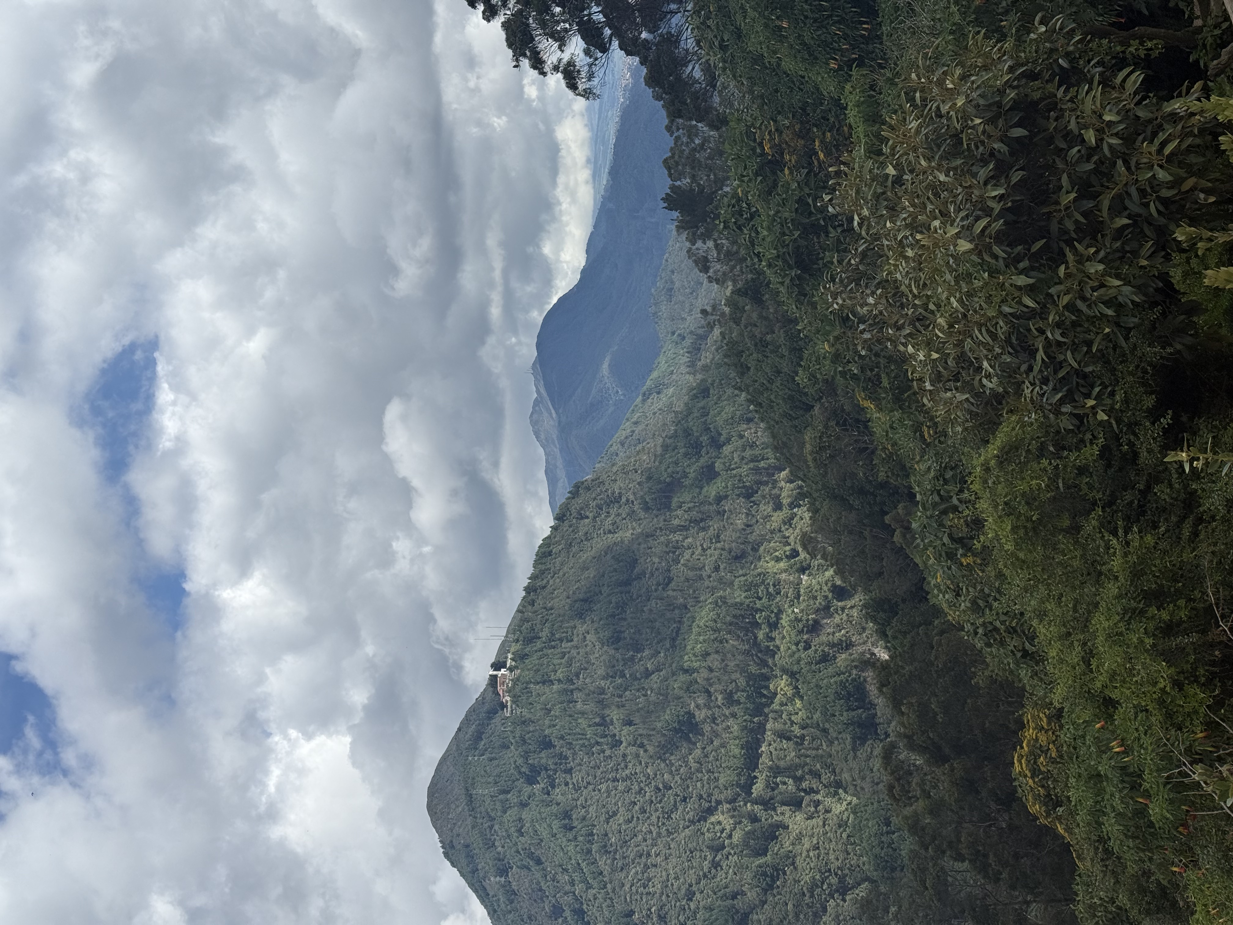 Богота + Соляной собор: однодневный тур (9/21)