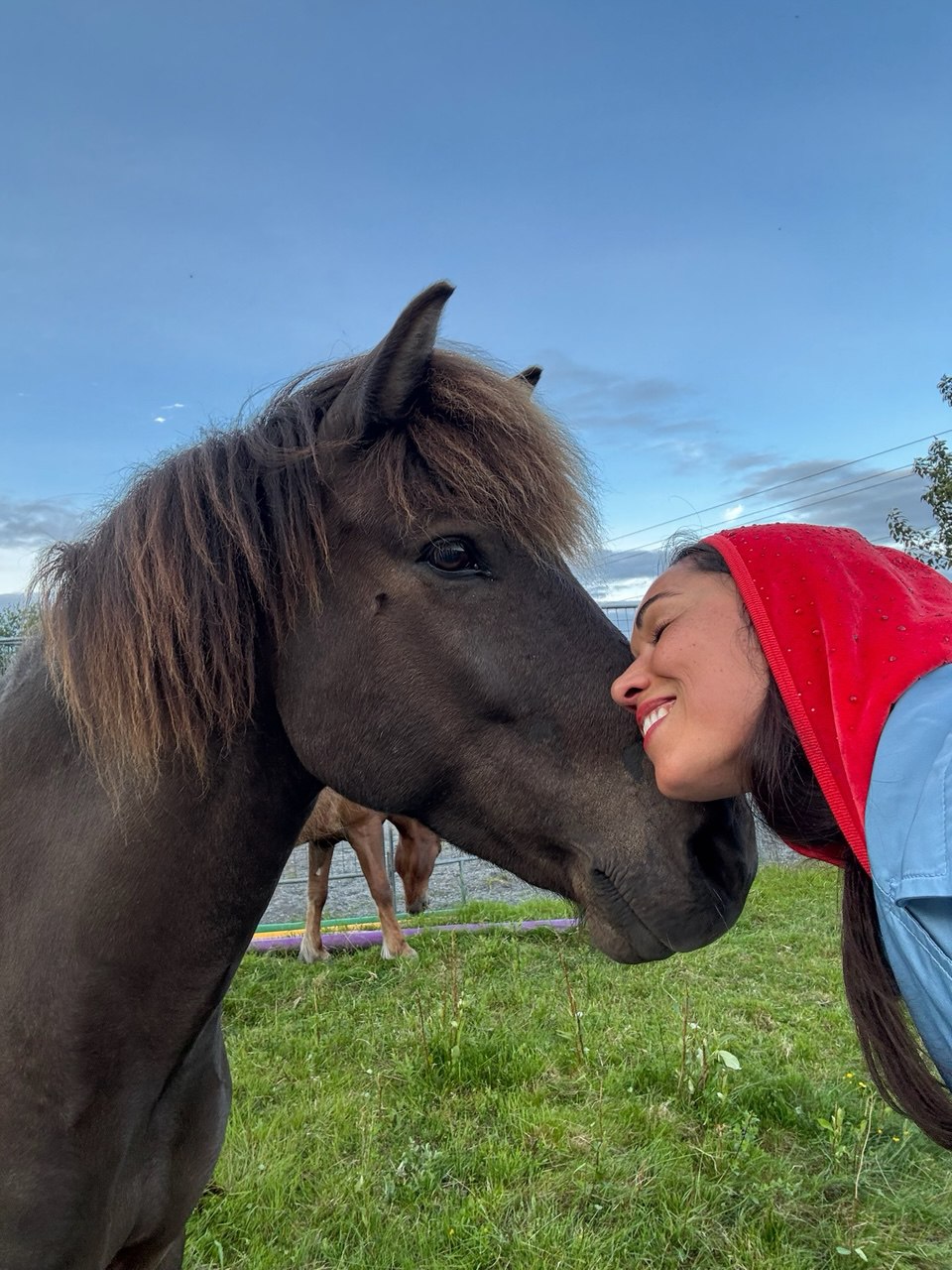 Норвегия: Активное путешествие от местного гида (12/26)