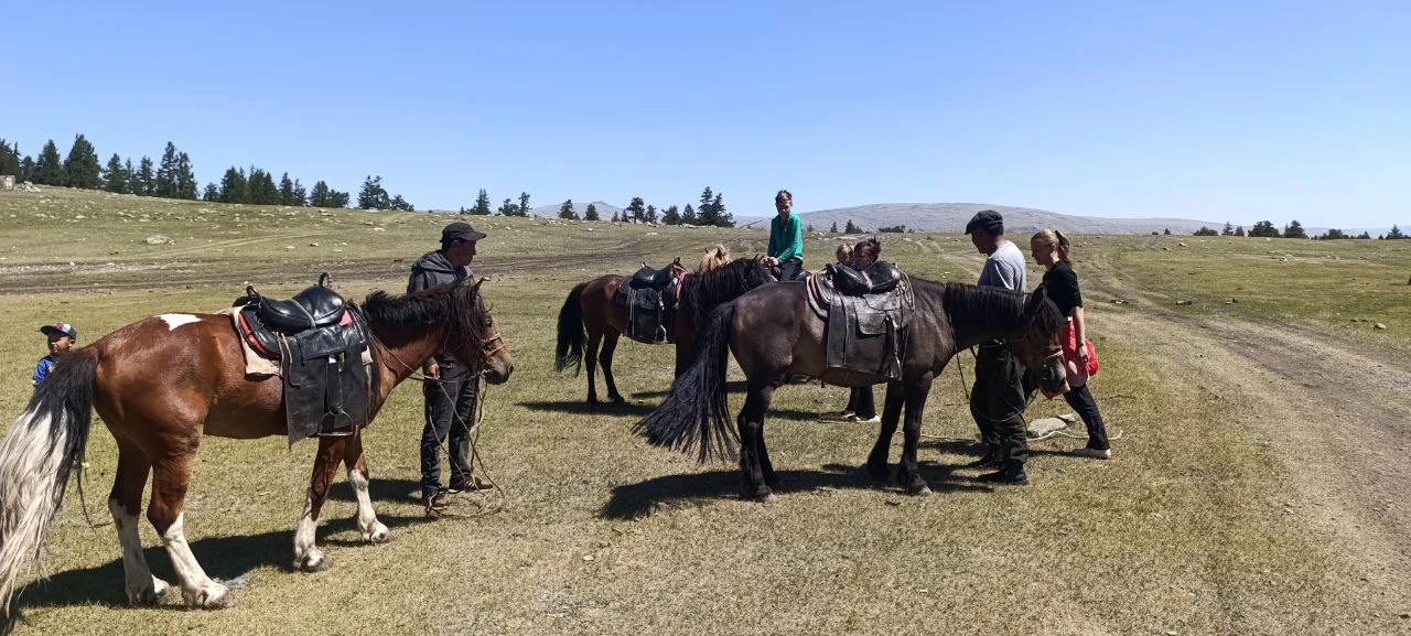 Поход по дикой Монголии без рюкзаков — горы, озера и бескрайние просторы (6/41)
