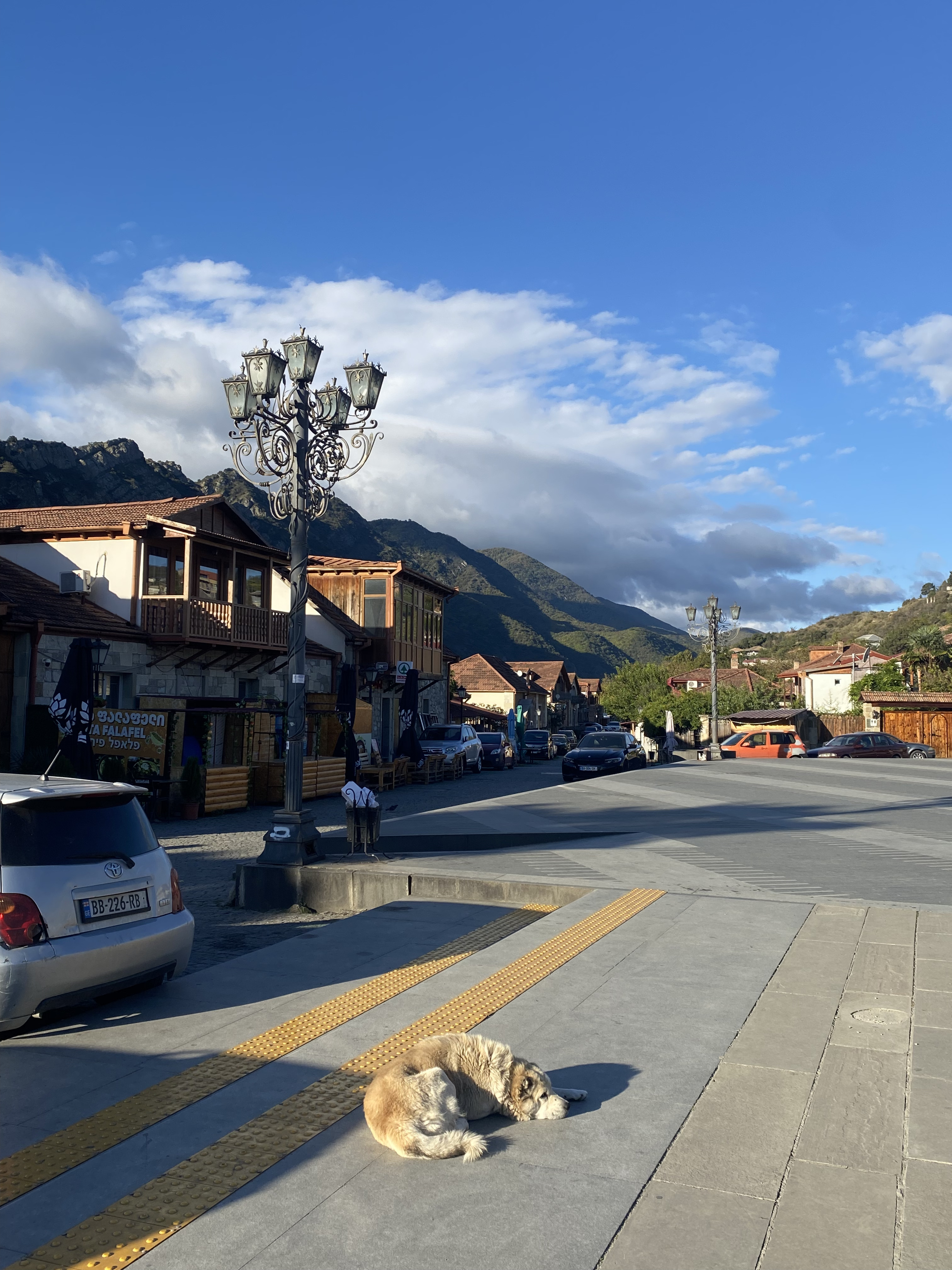 Комфорт тур в Грузию. Насыщенный маршрут, маленькая группа, хорошие отели (33/48)