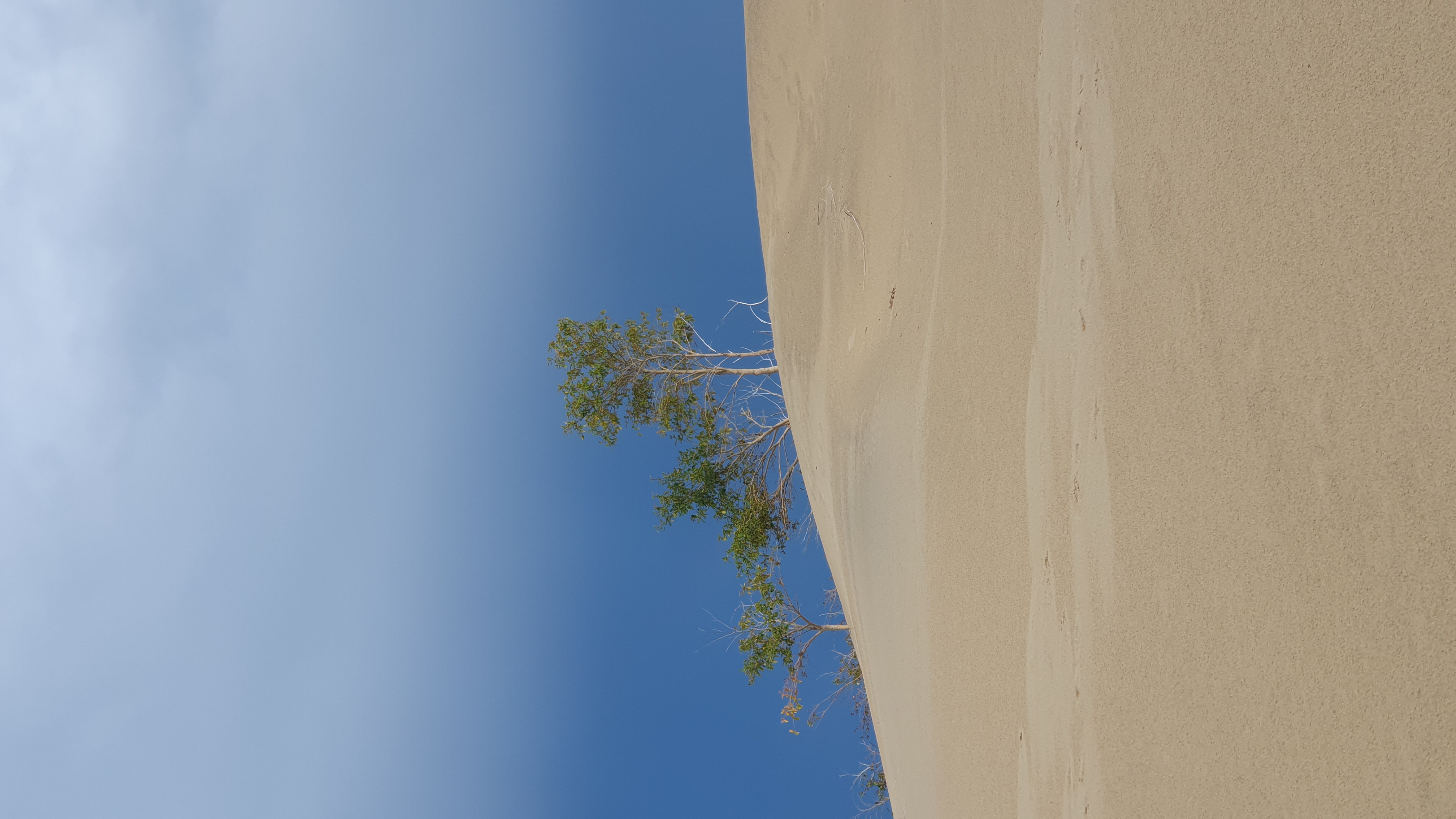 Чарские пески. Самая северная пустыня в мире (10/61)