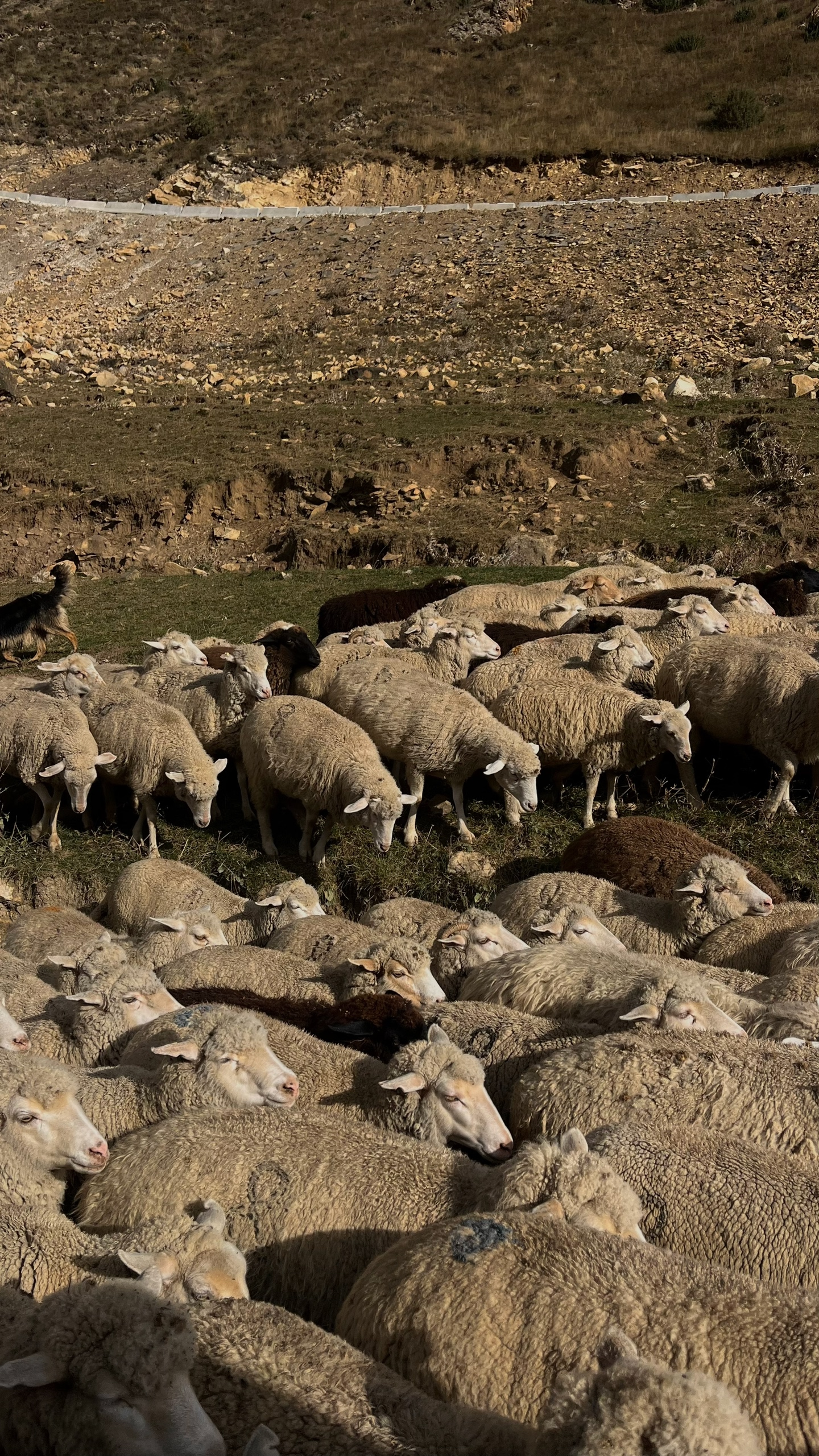 Знакомство с Дагестаном - вся красота за 3 дня. Все включено (15/48)
