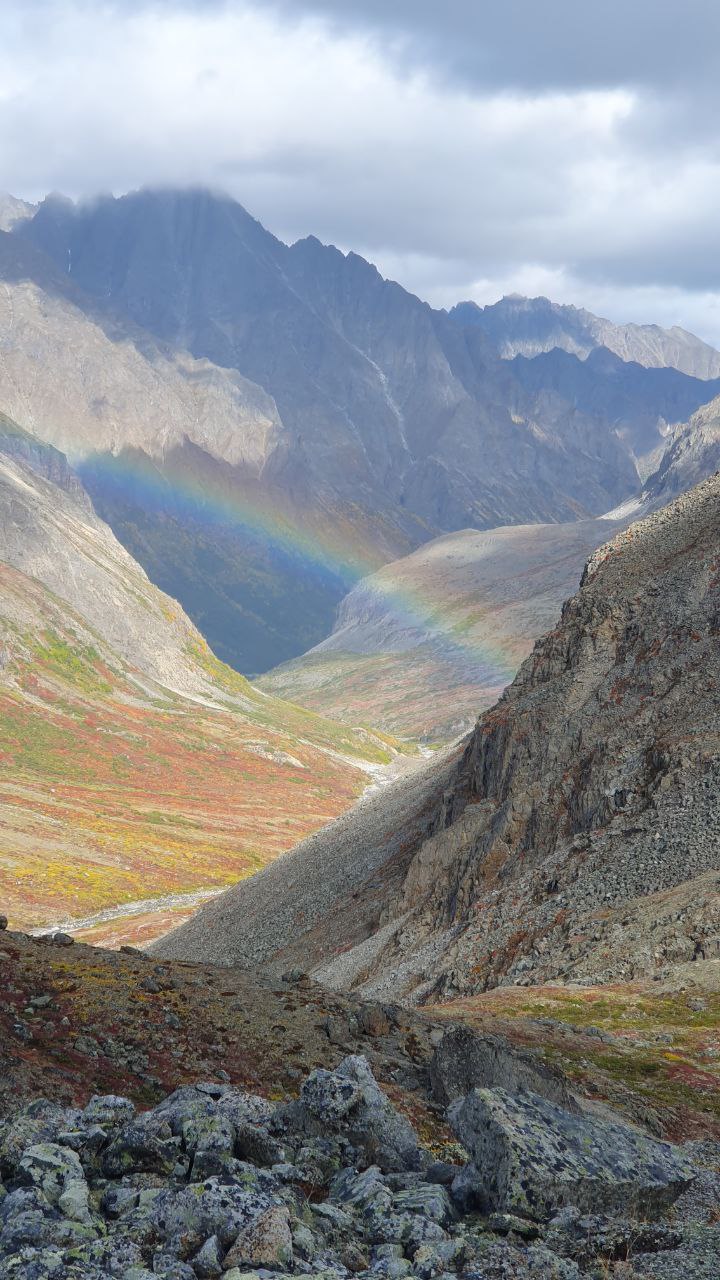 Чарские пески. Самая северная пустыня в мире (29/61)