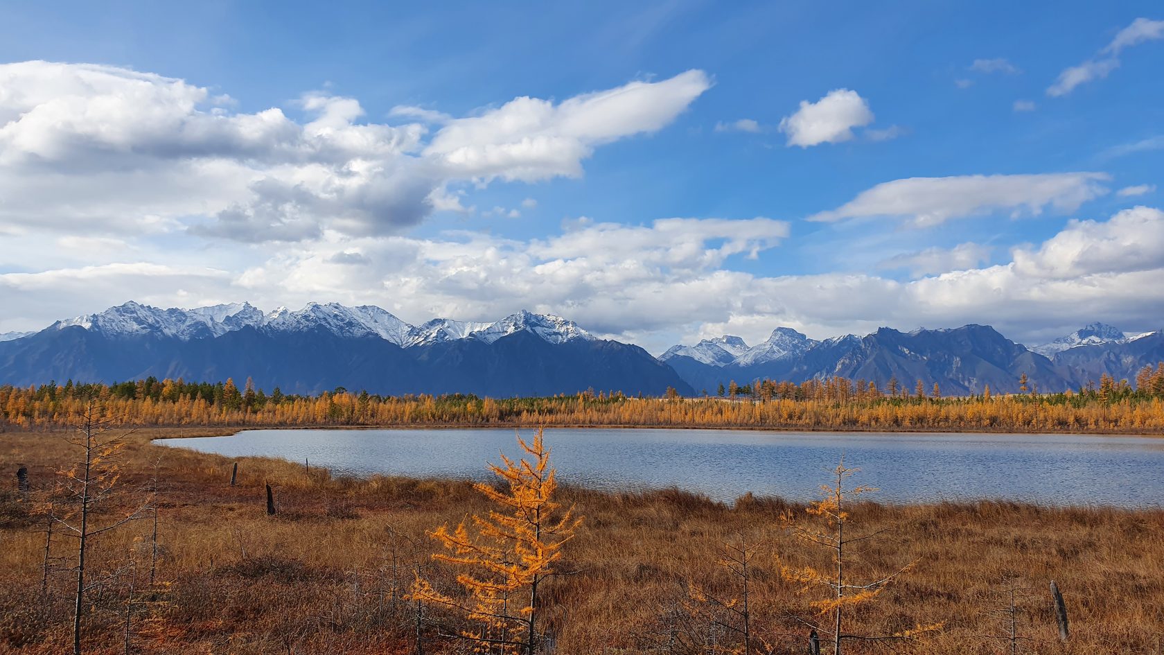 Чарские пески. Самая северная пустыня в мире (2/61)