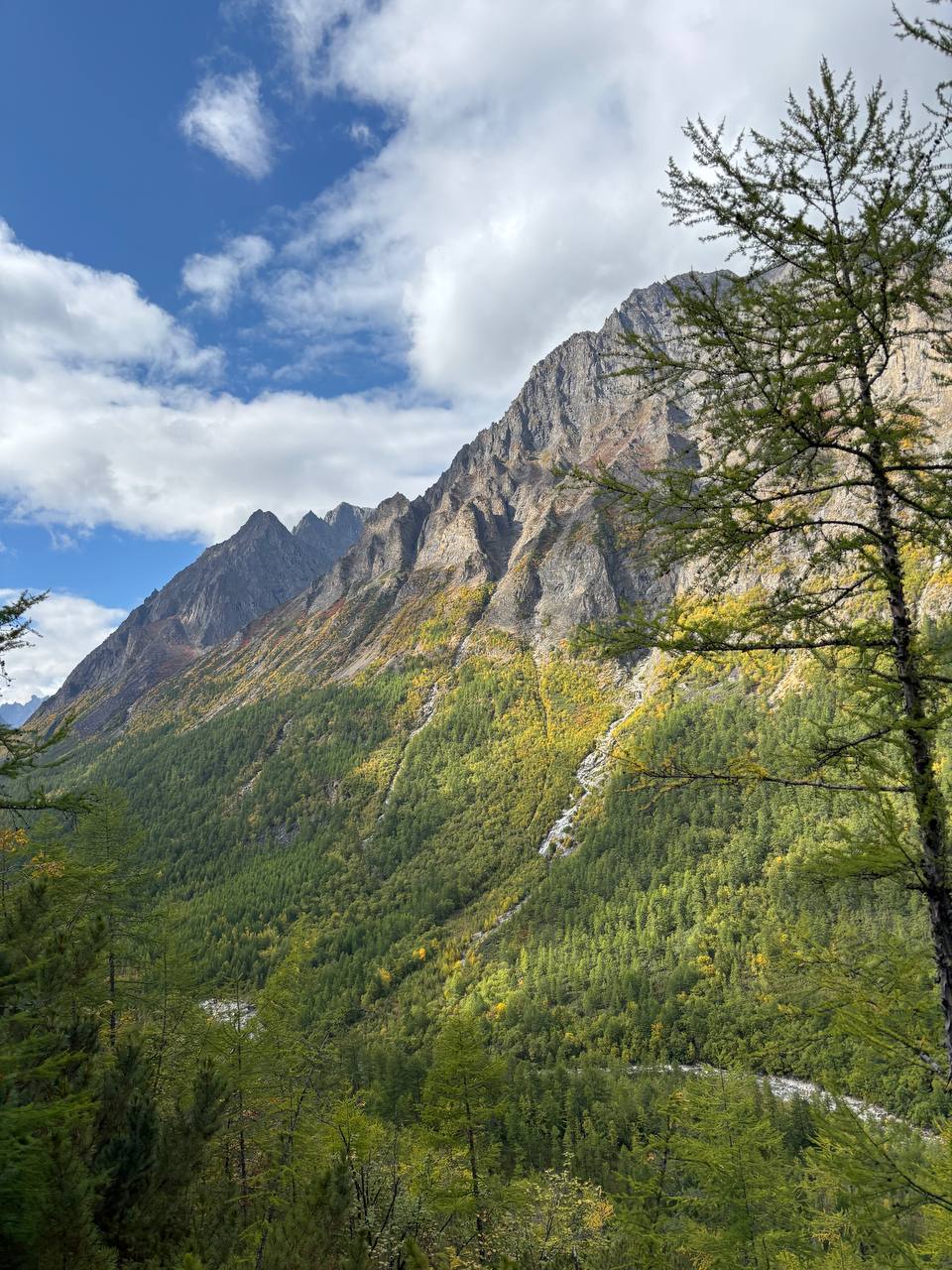 Чарские пески. Самая северная пустыня в мире (8/61)
