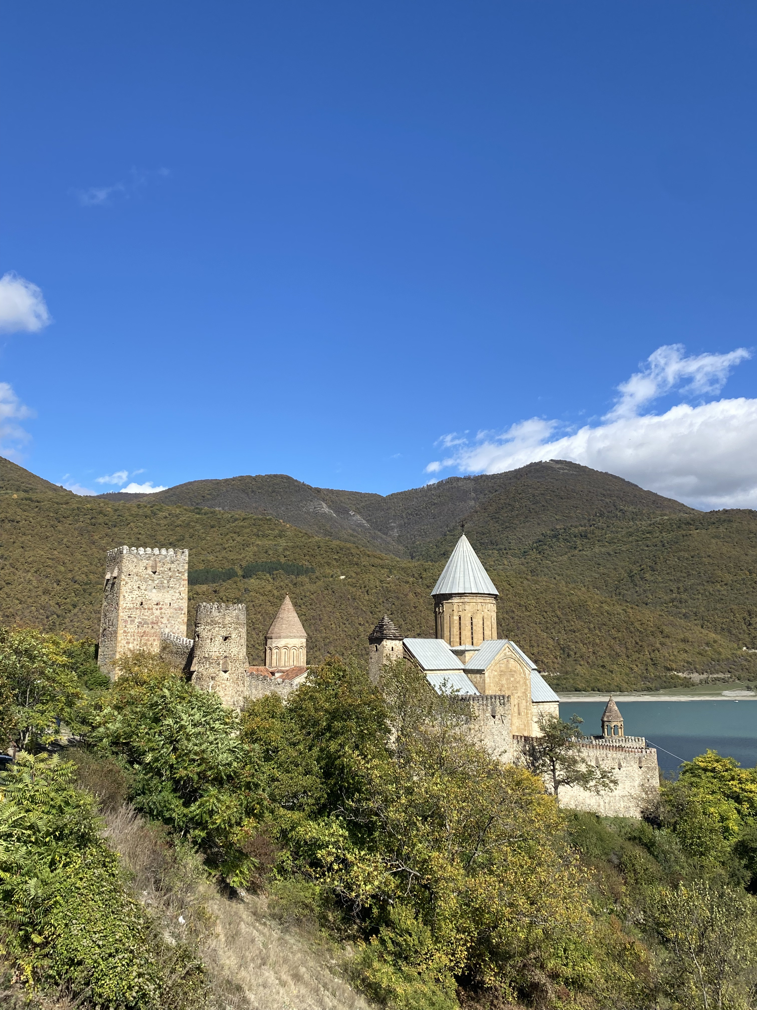 Комфорт тур в Грузию. Насыщенный маршрут, маленькая группа, хорошие отели (30/48)