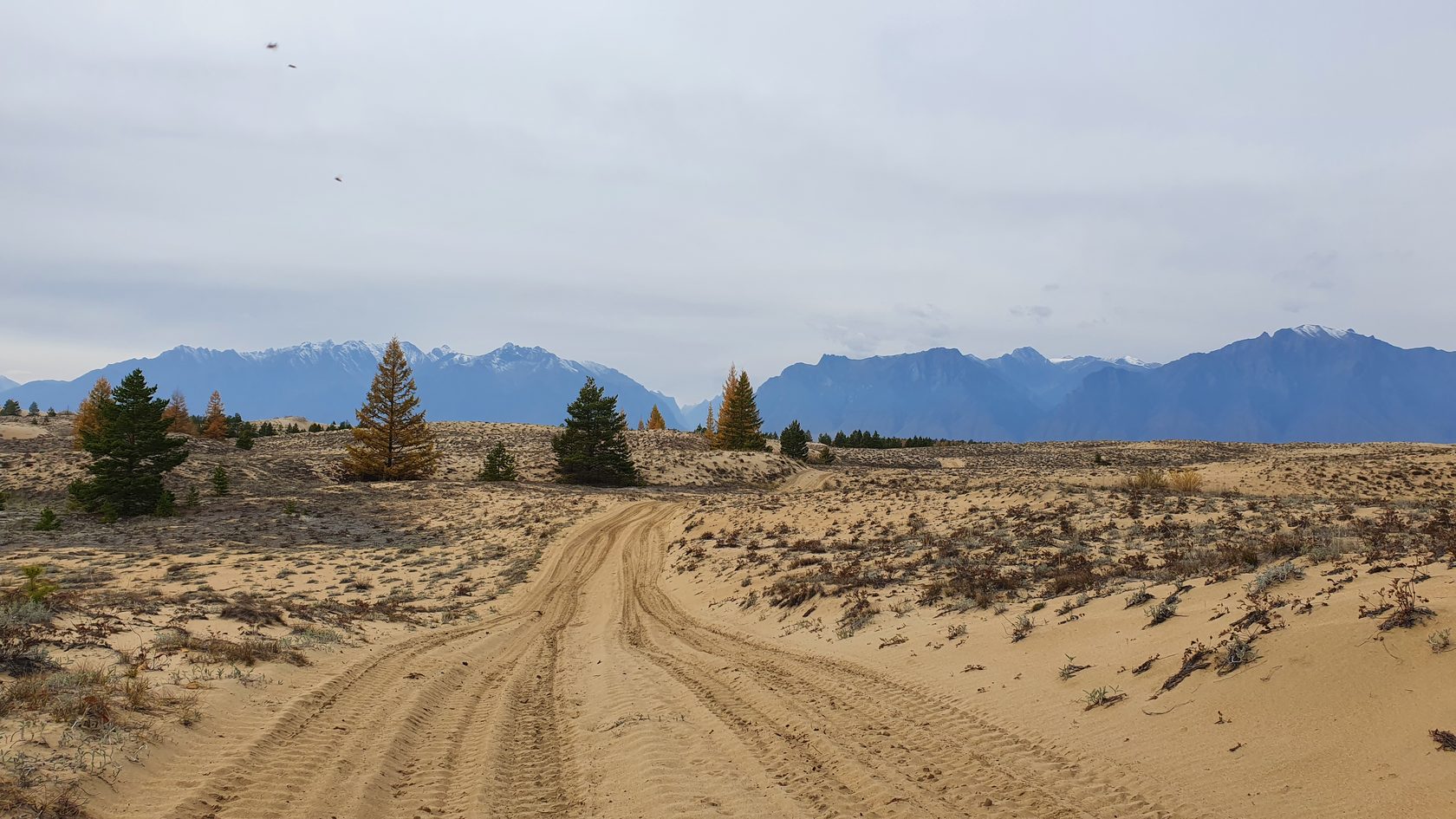 Чарские пески. Самая северная пустыня в мире (28/61)