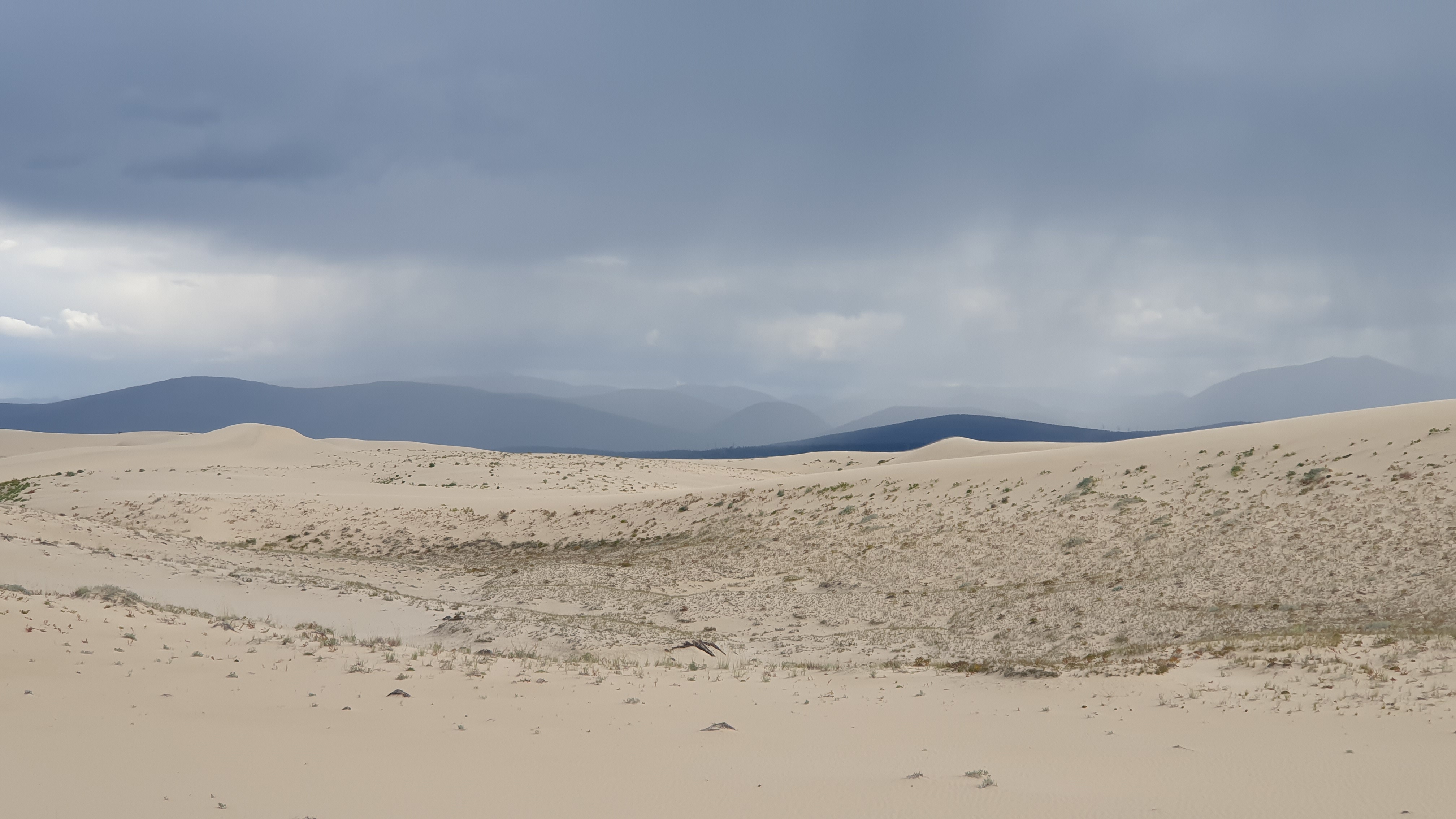 Чарские пески. Самая северная пустыня в мире (9/61)