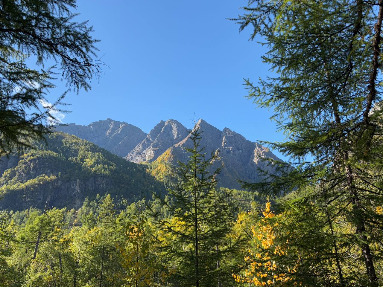 Чарские пески. Самая северная пустыня в мире (24/61)
