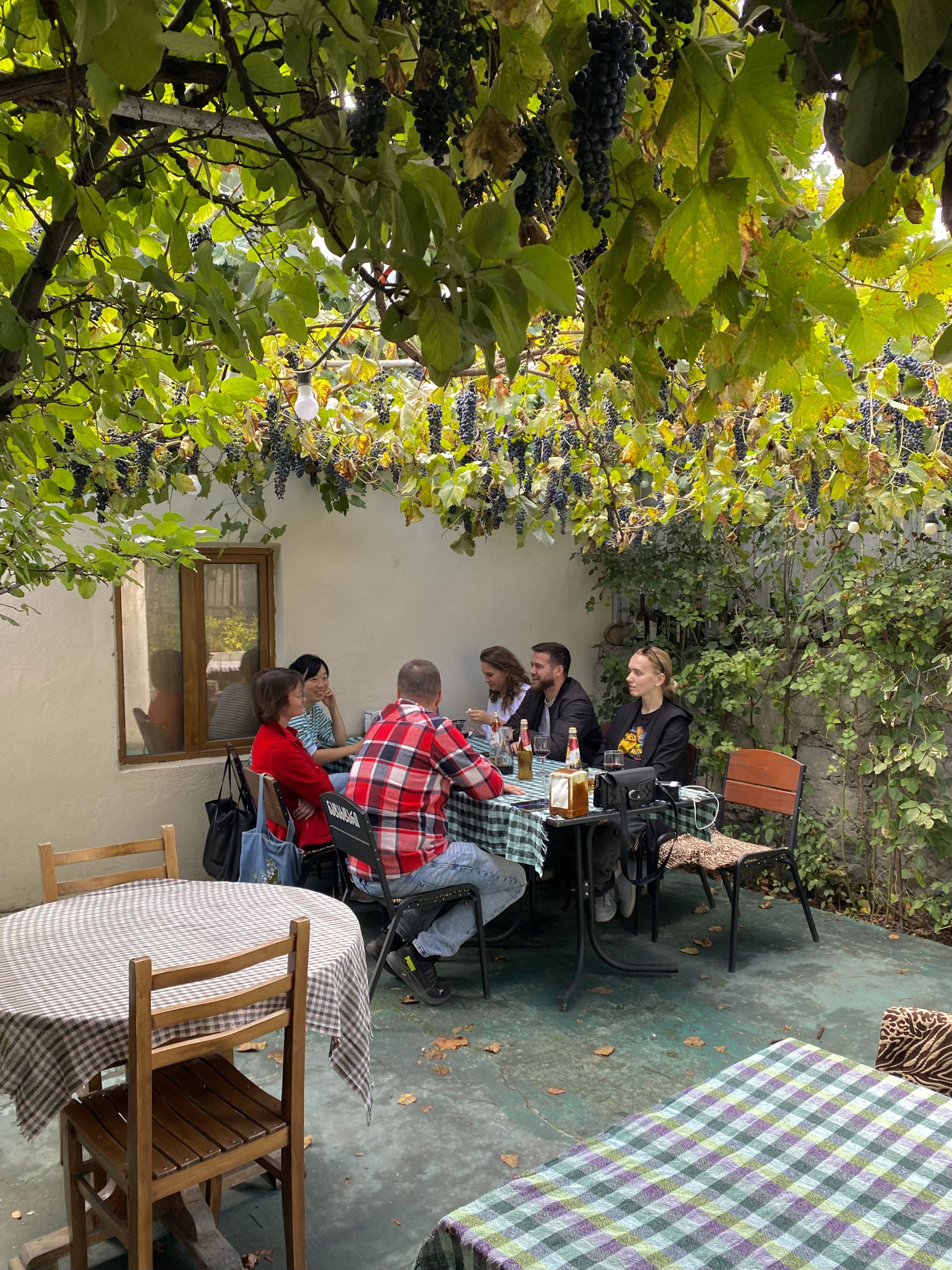 Комфорт тур в Грузию. Насыщенный маршрут, маленькая группа, хорошие отели (19/48)