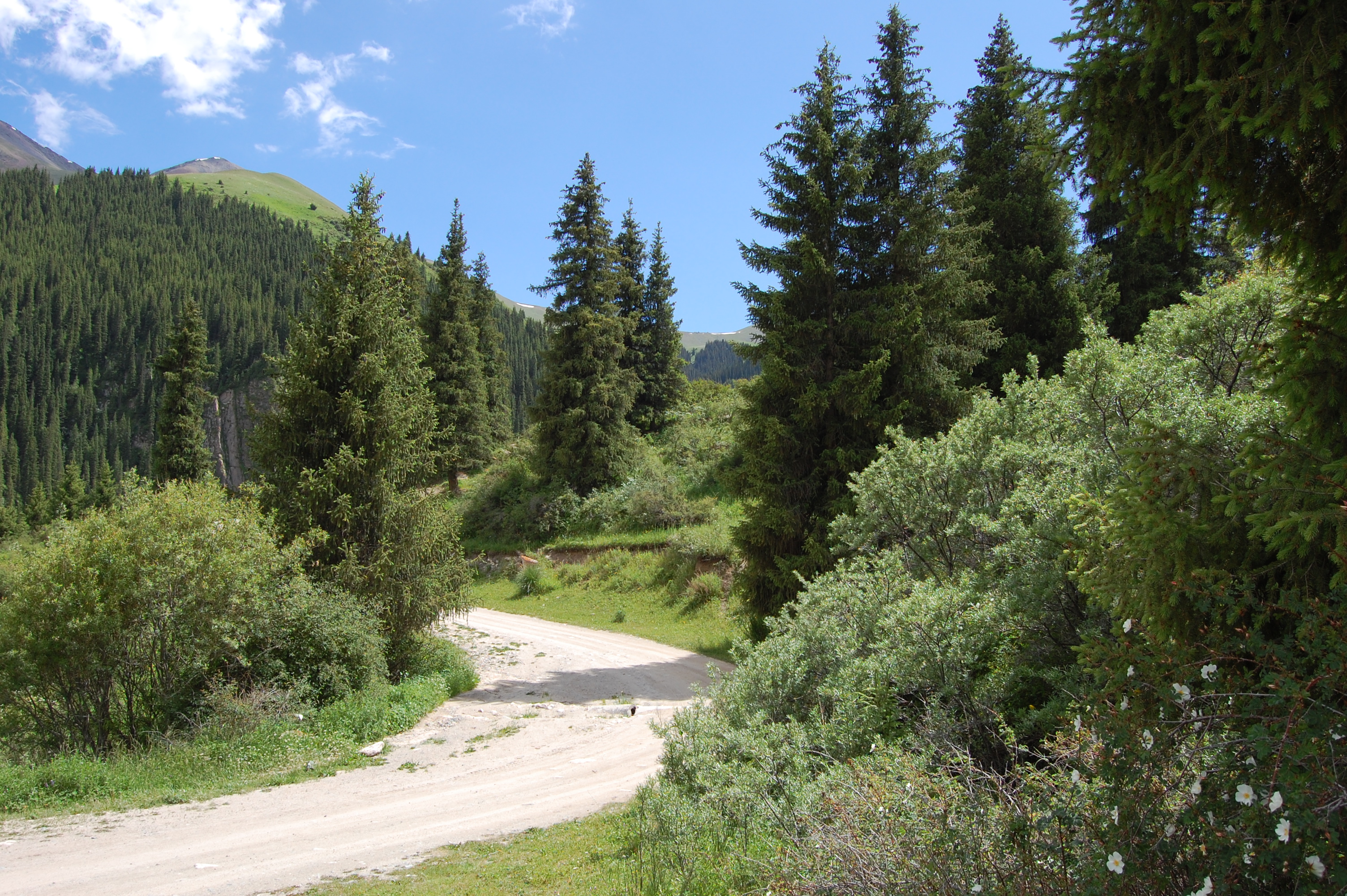 Невероятный Кыргызстан на максималках от Бишкека до Памира с внутр.перелетом (39/90)