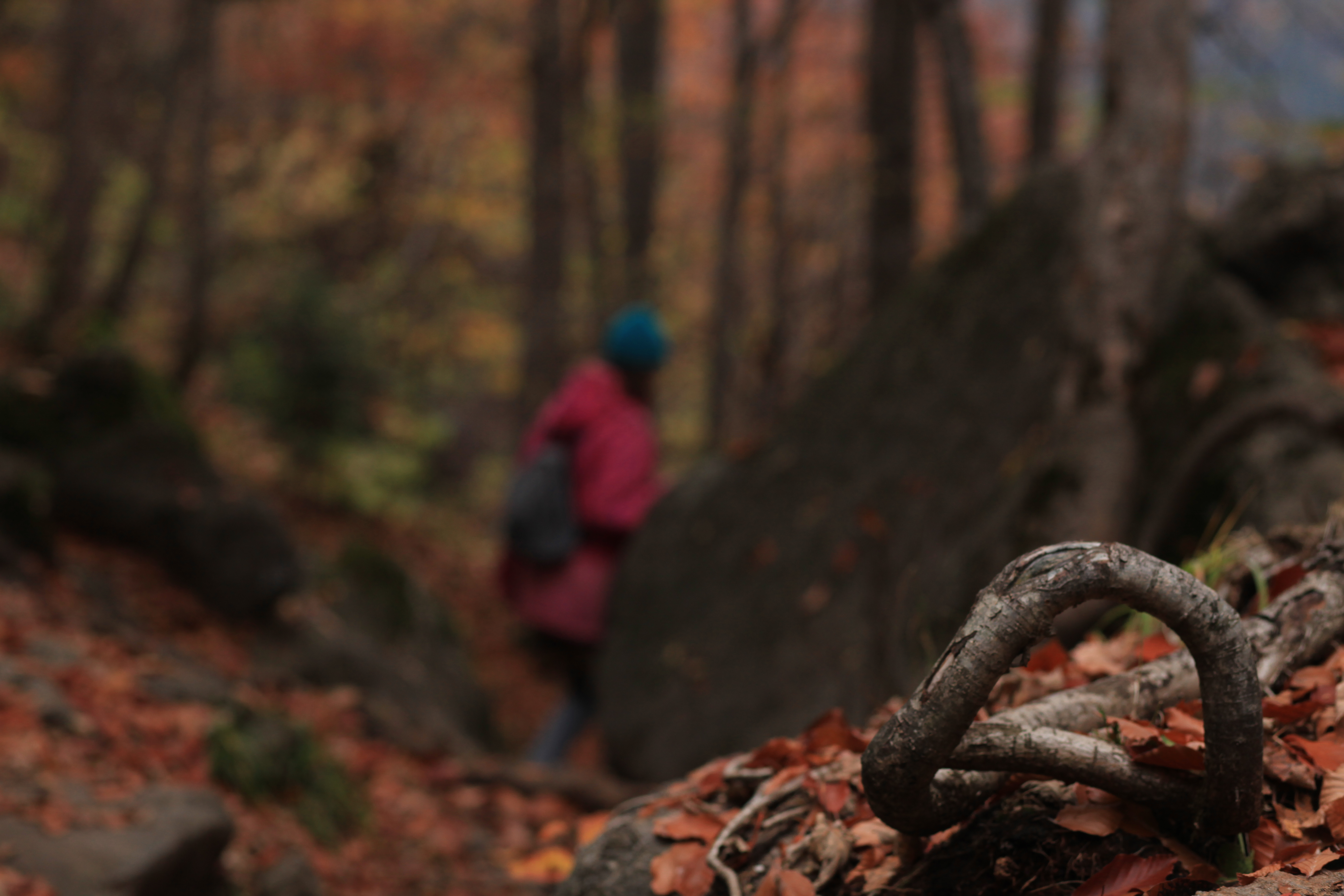 Настроение - Горы! Активный тур по Карачаево-Черкесии! (70/116)