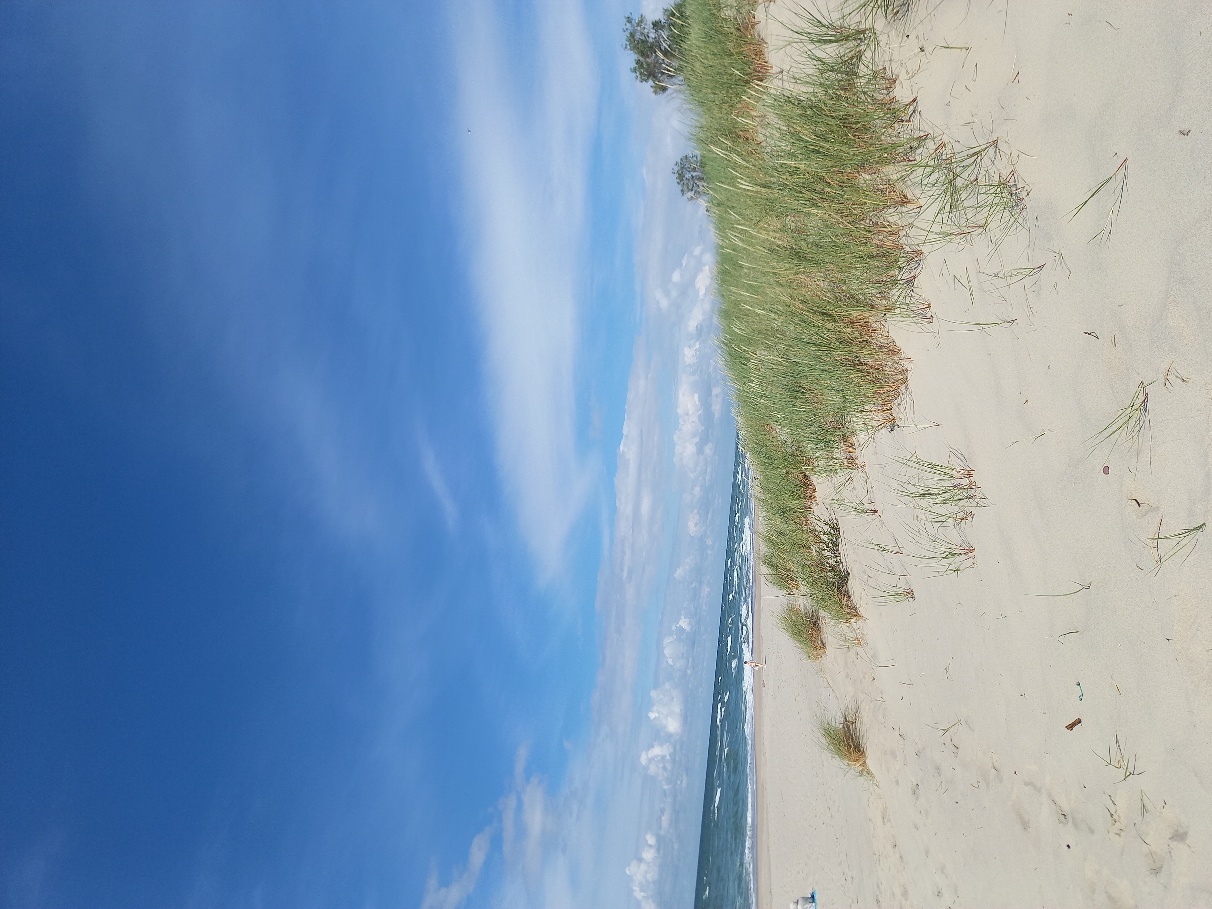 Янтарная свадьба (26/44)