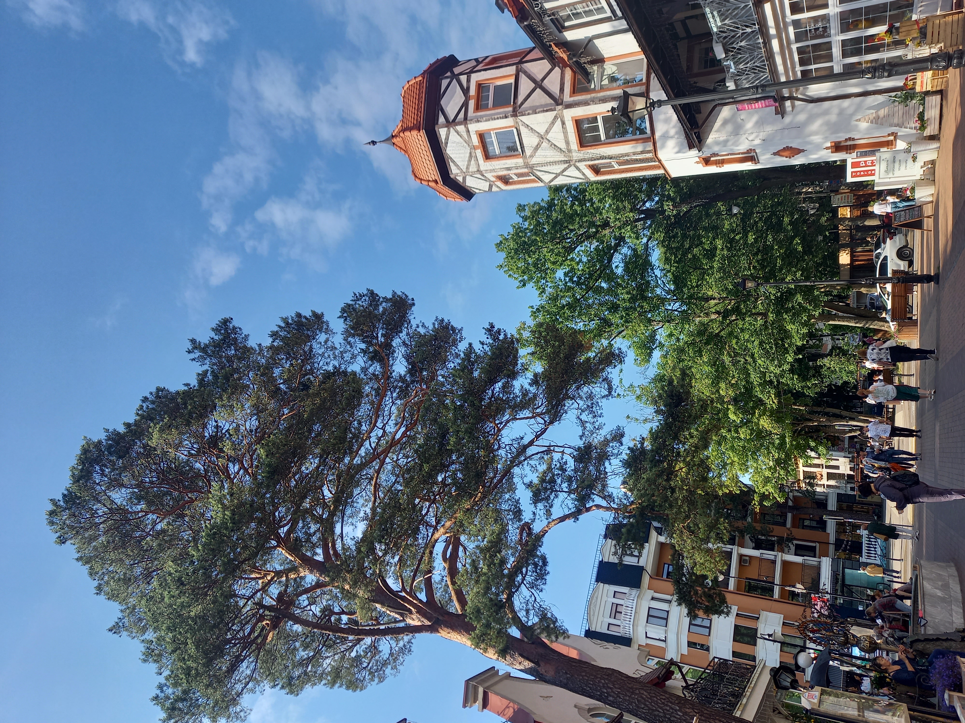 Янтарная свадьба (22/44)