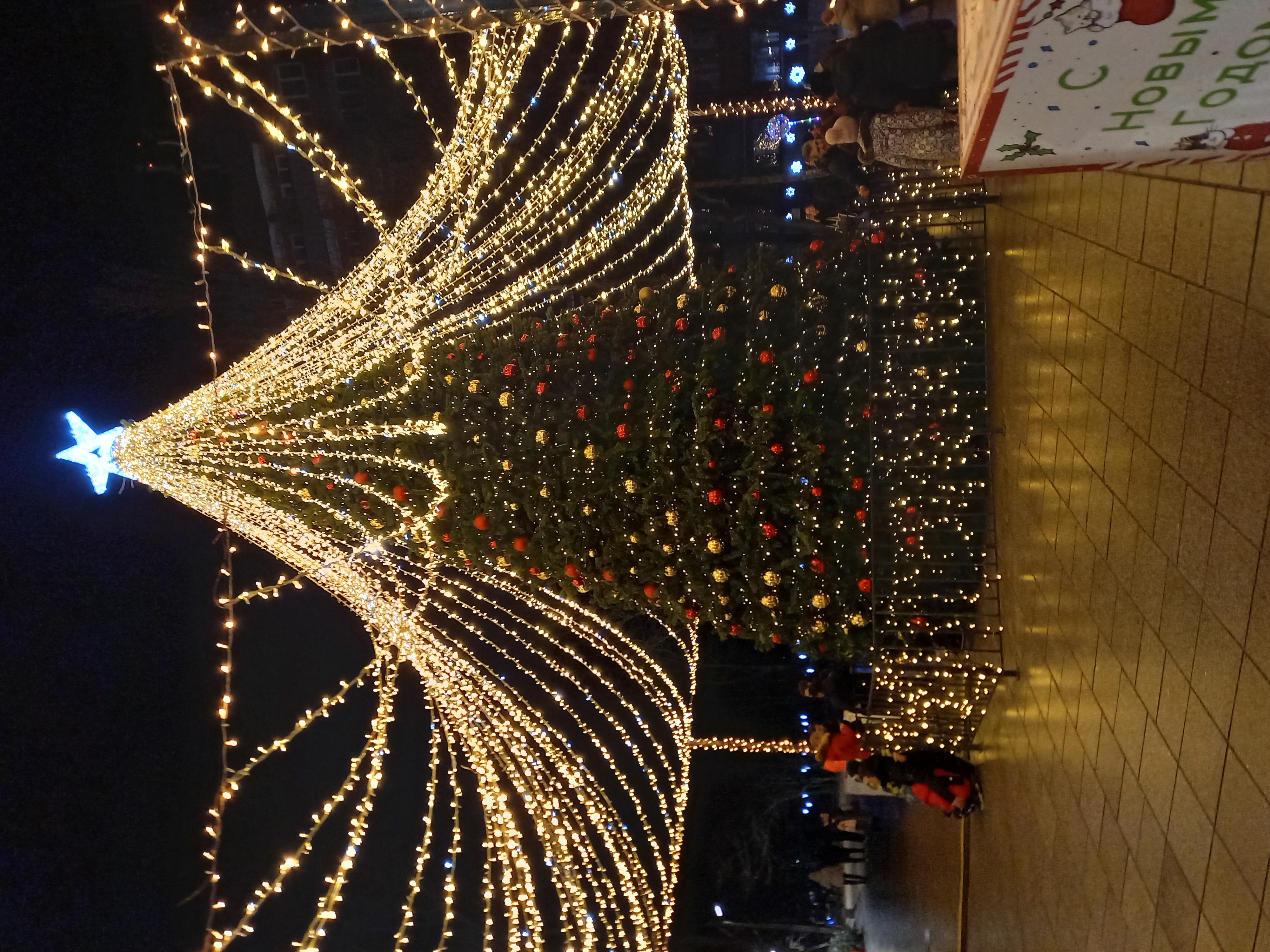 Новый год в сказочном Светлогорске на берегу Балтийского моря (14/32)