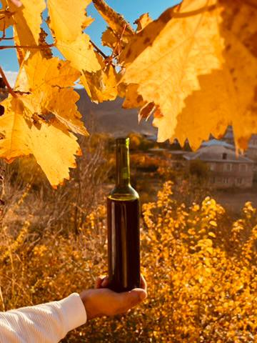 Солнечная Армения Юг 6 дней (21/53)