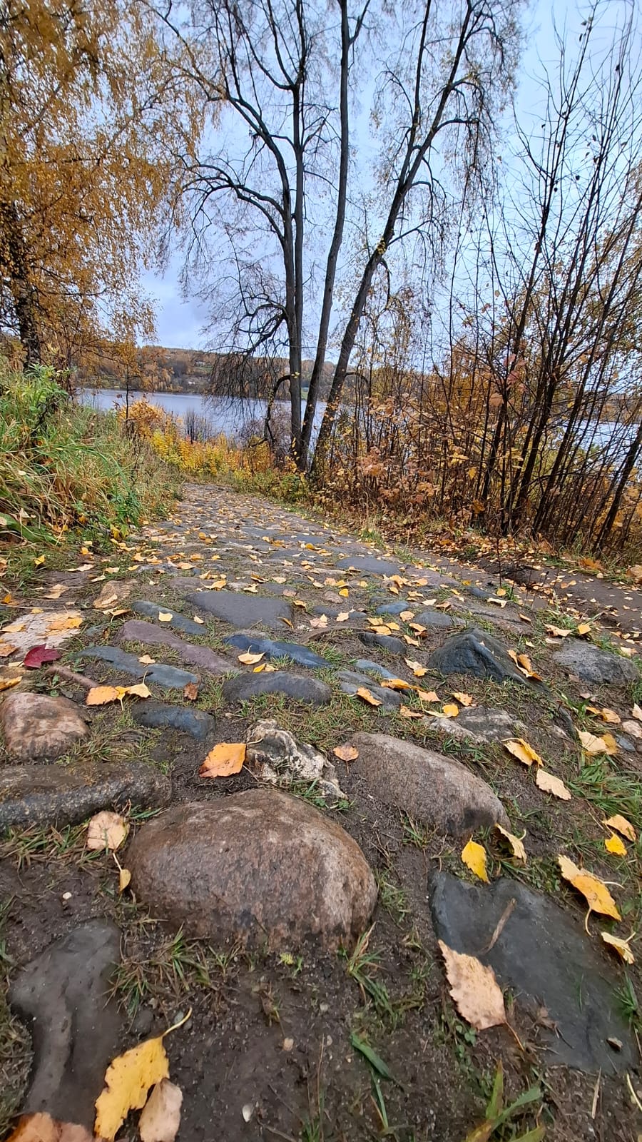 Плес- Шуя-Палех - Иваново (22/34)