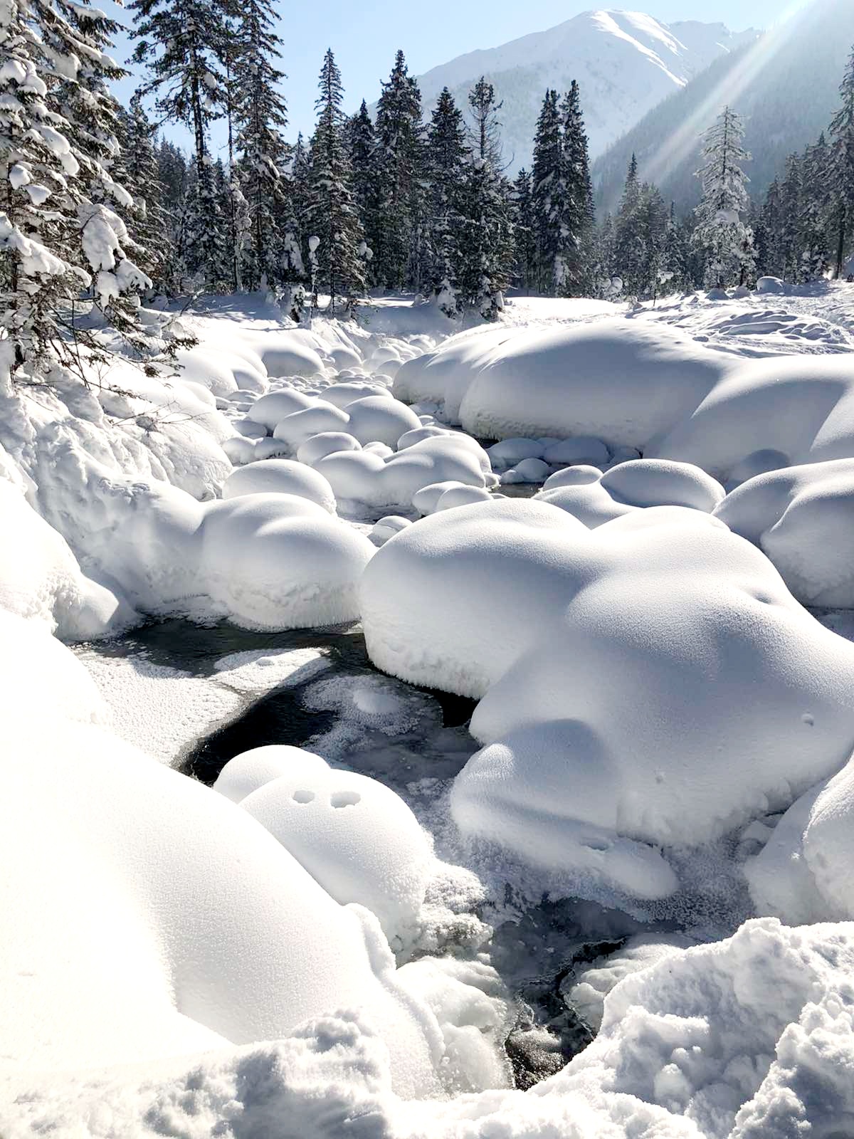 Зимний Мамай