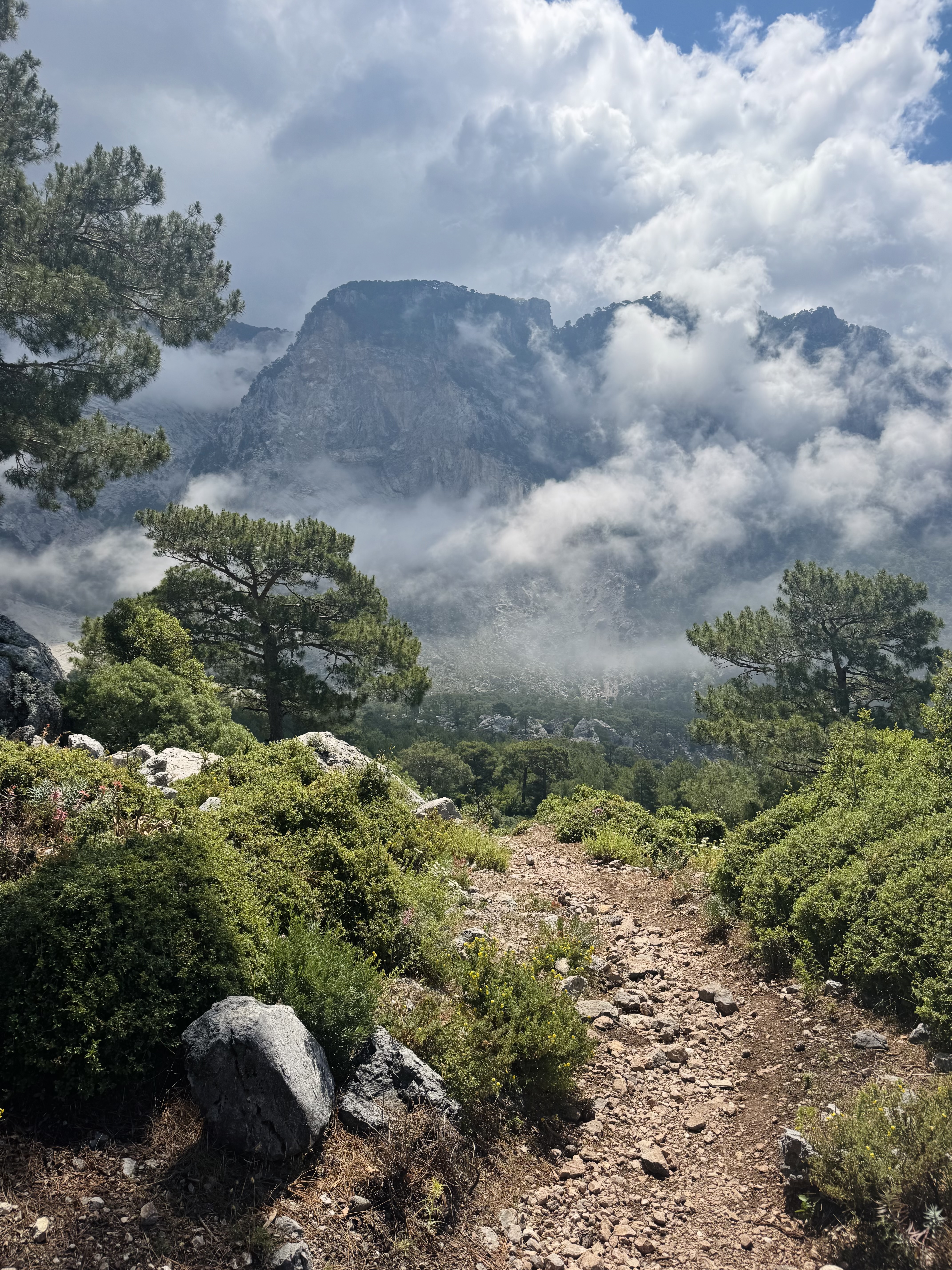 Ликийская тропа:шаг в Новый год с природой, вдохновением и перезагрузкой (комфорт) (17/31)