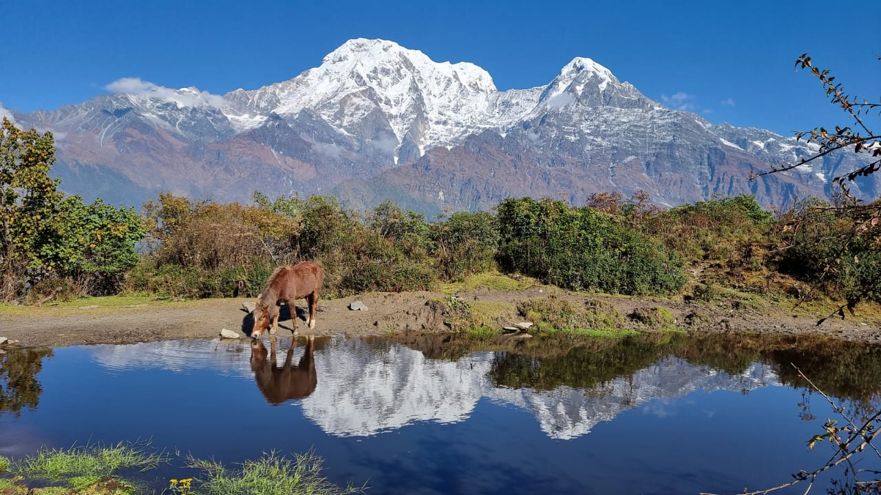 Непал. Треккинг с комфортом по самым красивым местам (50/85)
