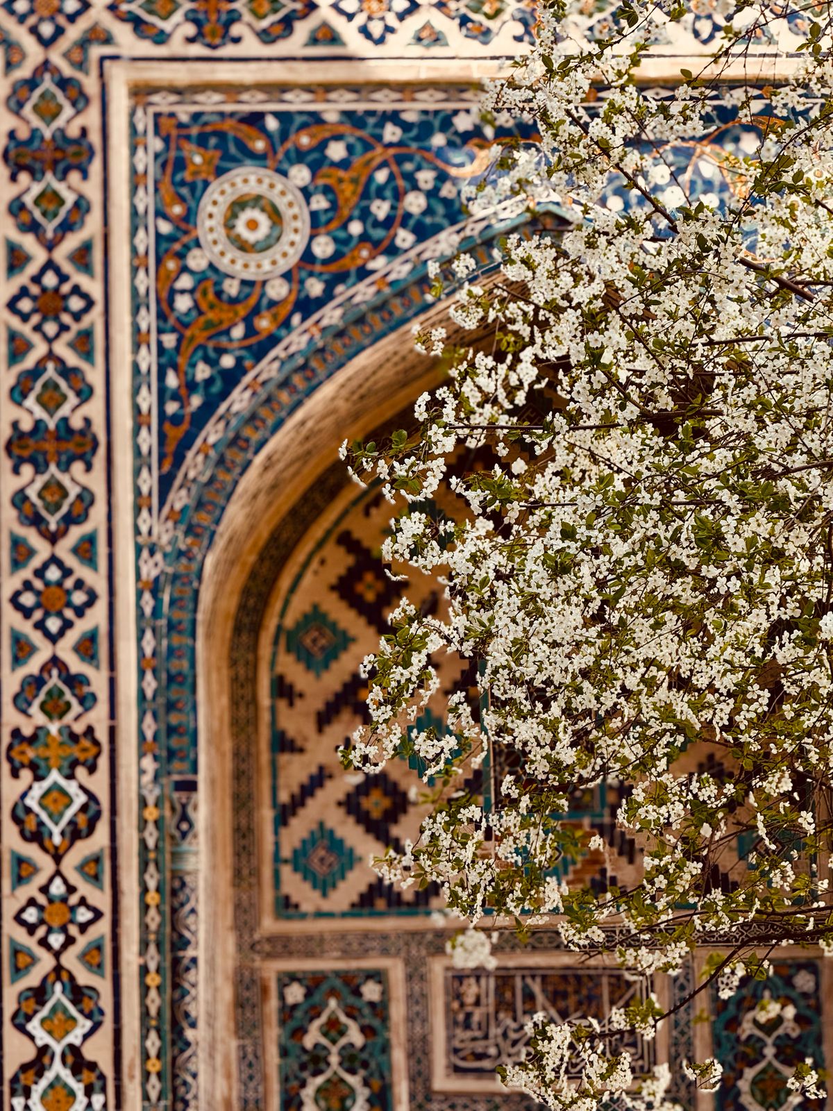 Весенний Узбекистан 5 дней: Все Включено