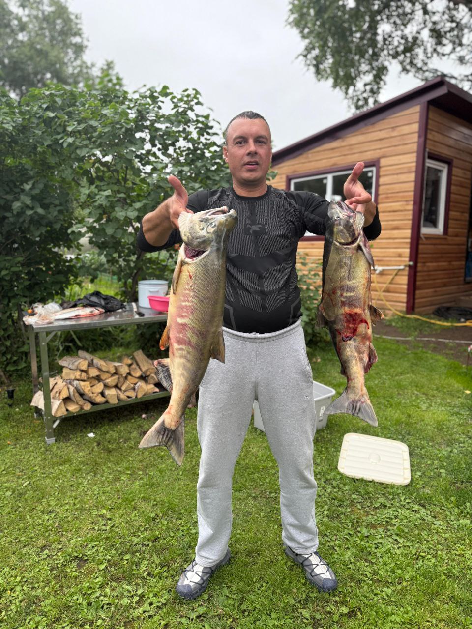 Вся Камчатка за 8 дней (лето) (25/90)