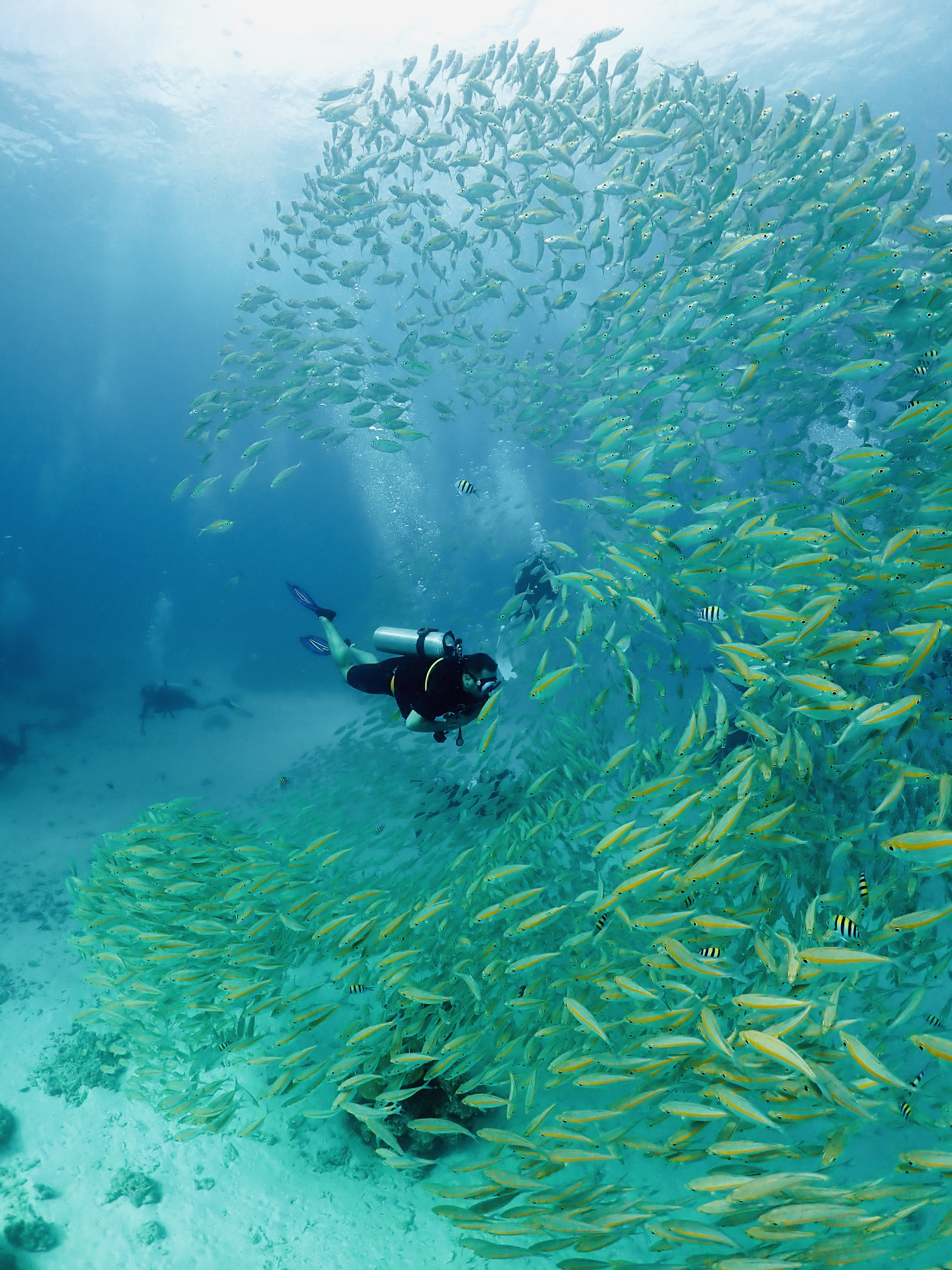 Таиланд за восемь экспедиций. Семь провинций Королевства Таиланд (6/113)