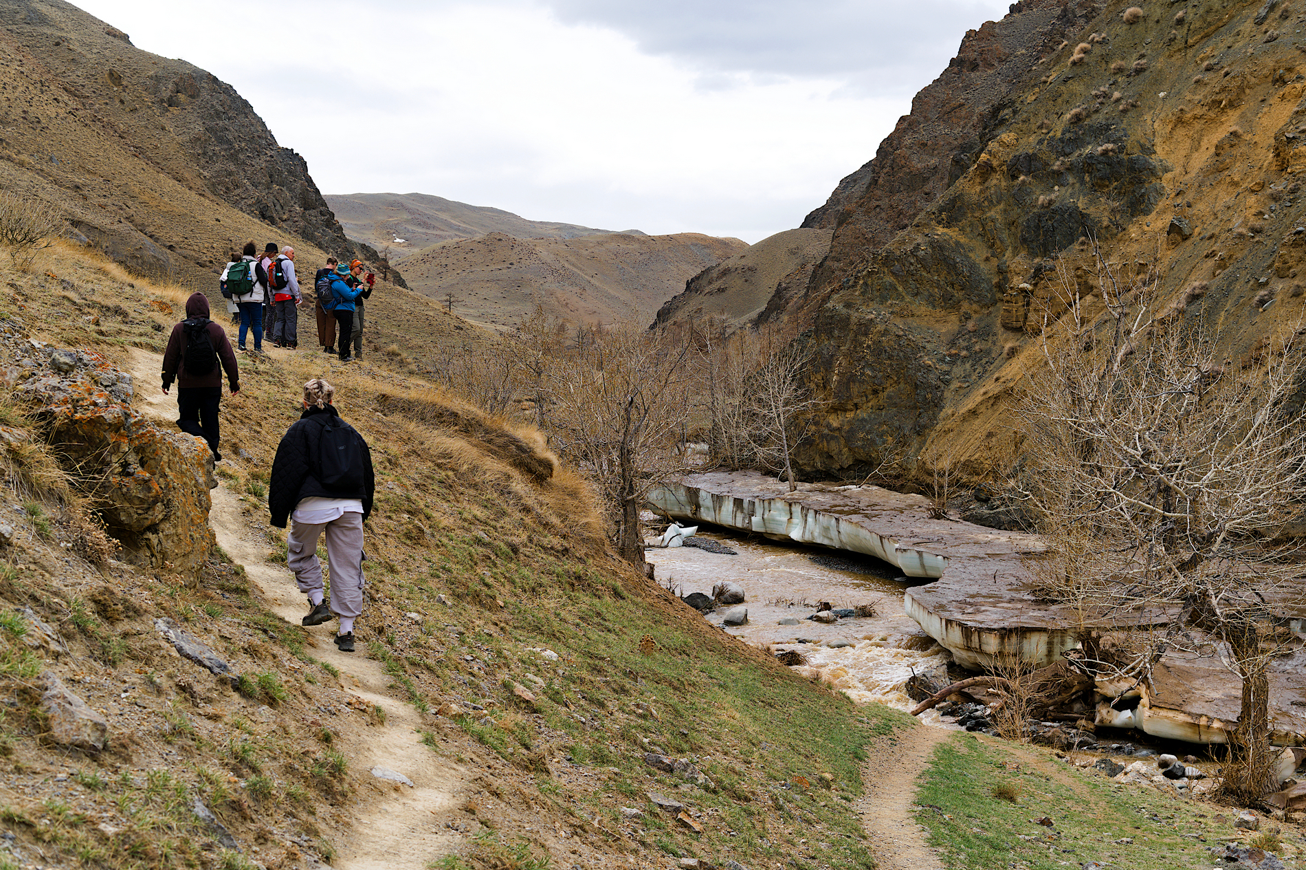Тур по цветущему Алтаю с трекингами налегке (26/39)