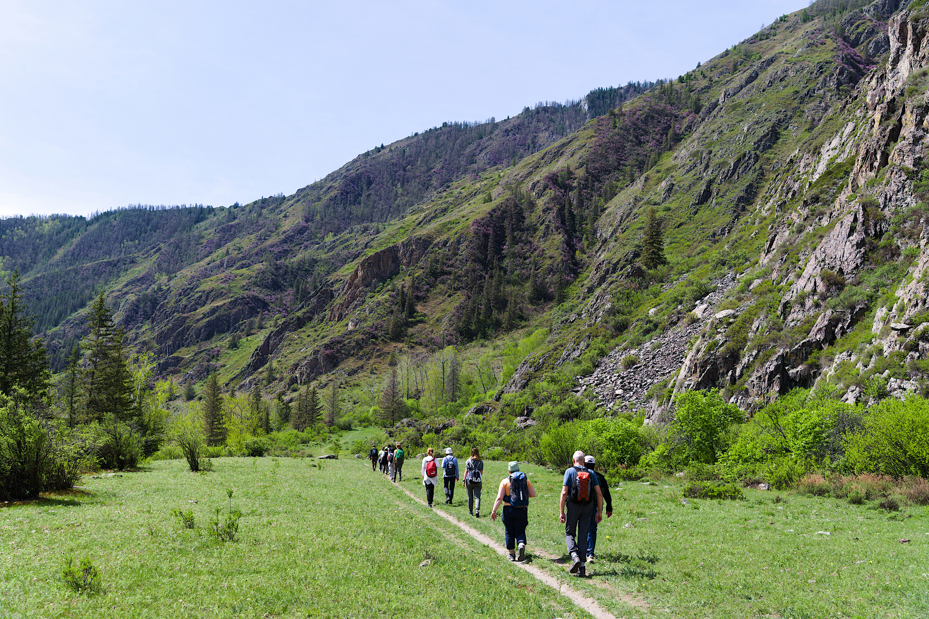 Тур по цветущему Алтаю с трекингами налегке (4/39)
