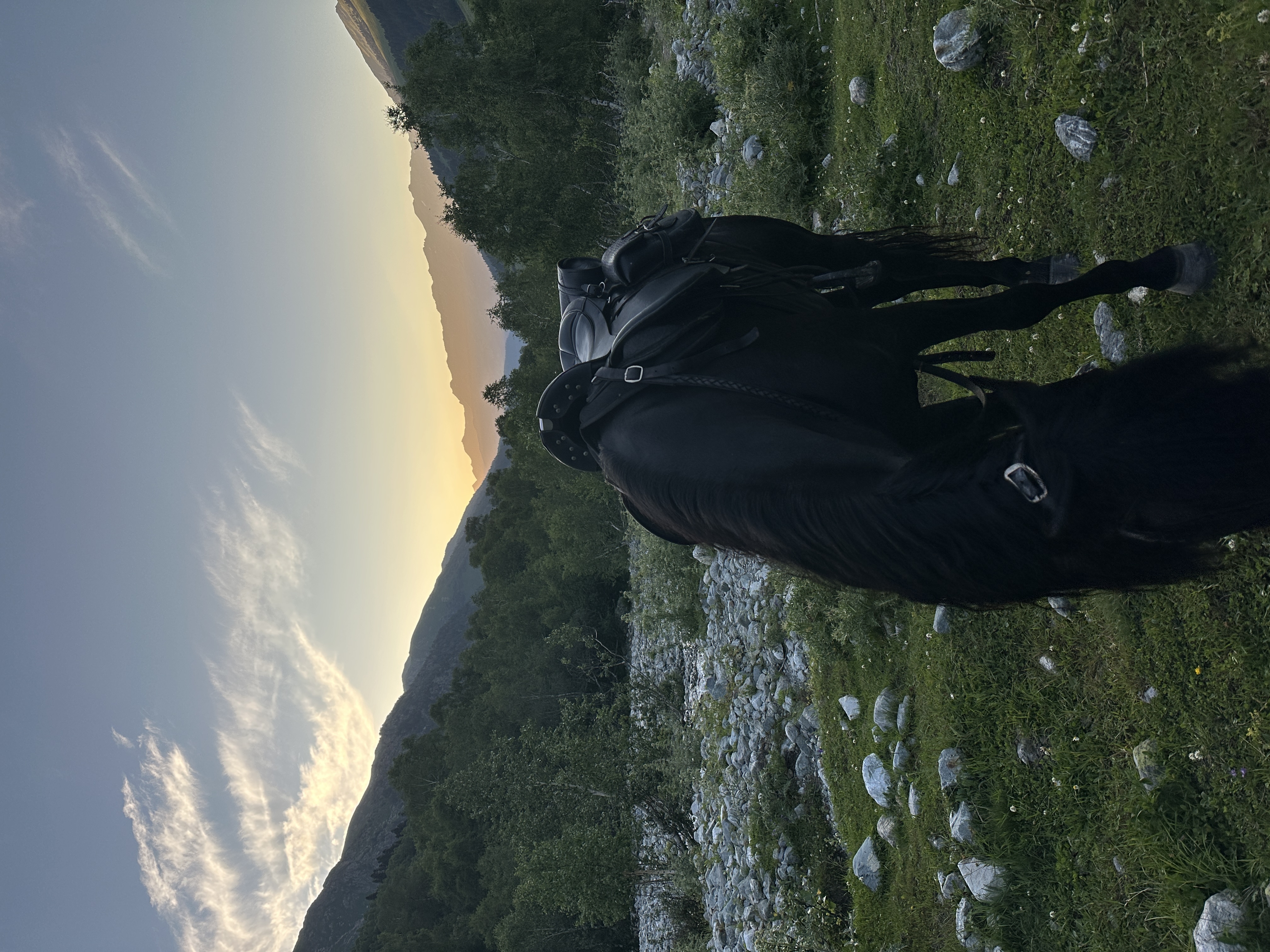 Майские праздники в Архызе: конно-квадро тут (3/12)