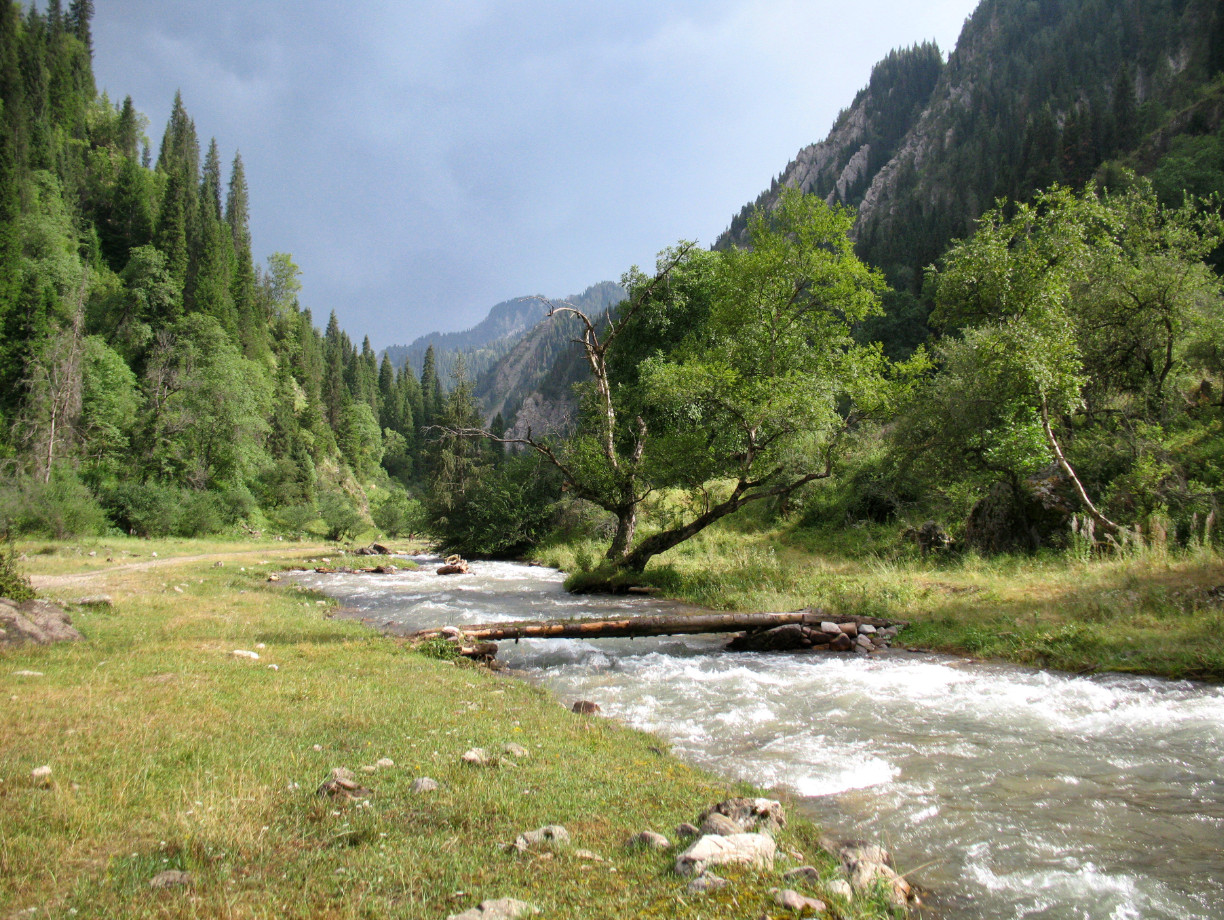 Красивейший треккинг налегке к озеру Сары-Челек - жемчужине Тянь-Шаня. (26/57)
