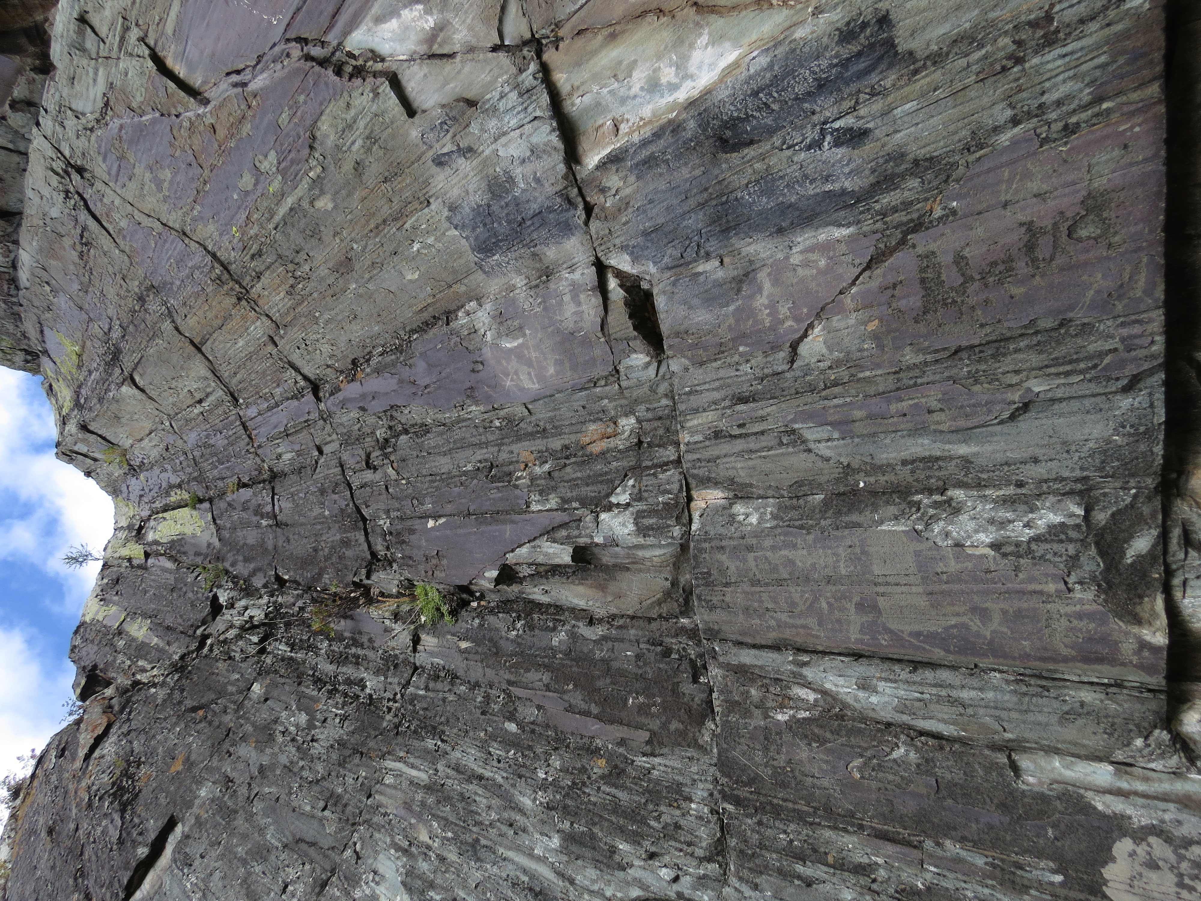 Тур по цветущему Алтаю с трекингами налегке (28/39)