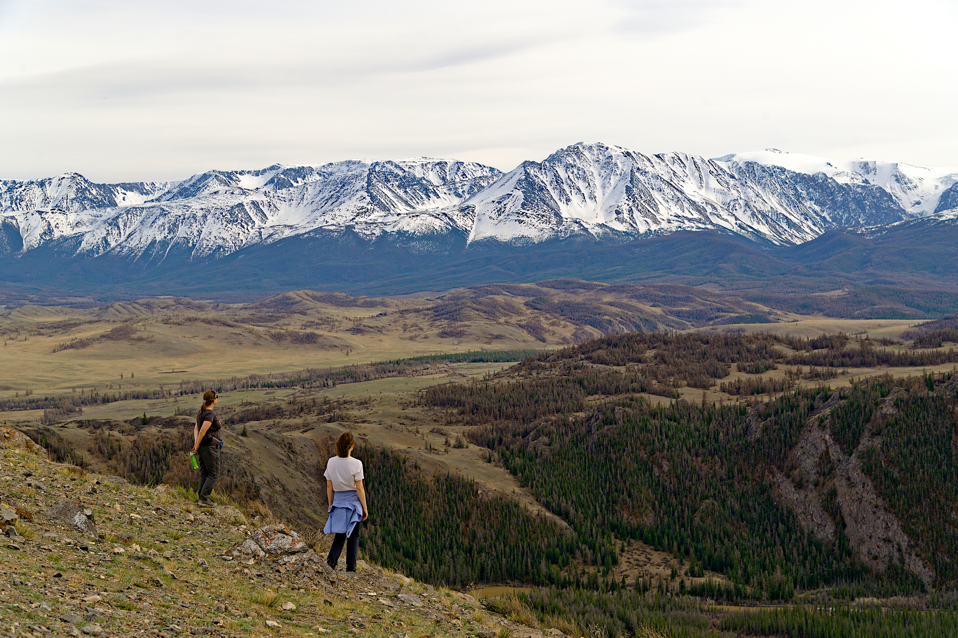 Тур по цветущему Алтаю с трекингами налегке (23/39)