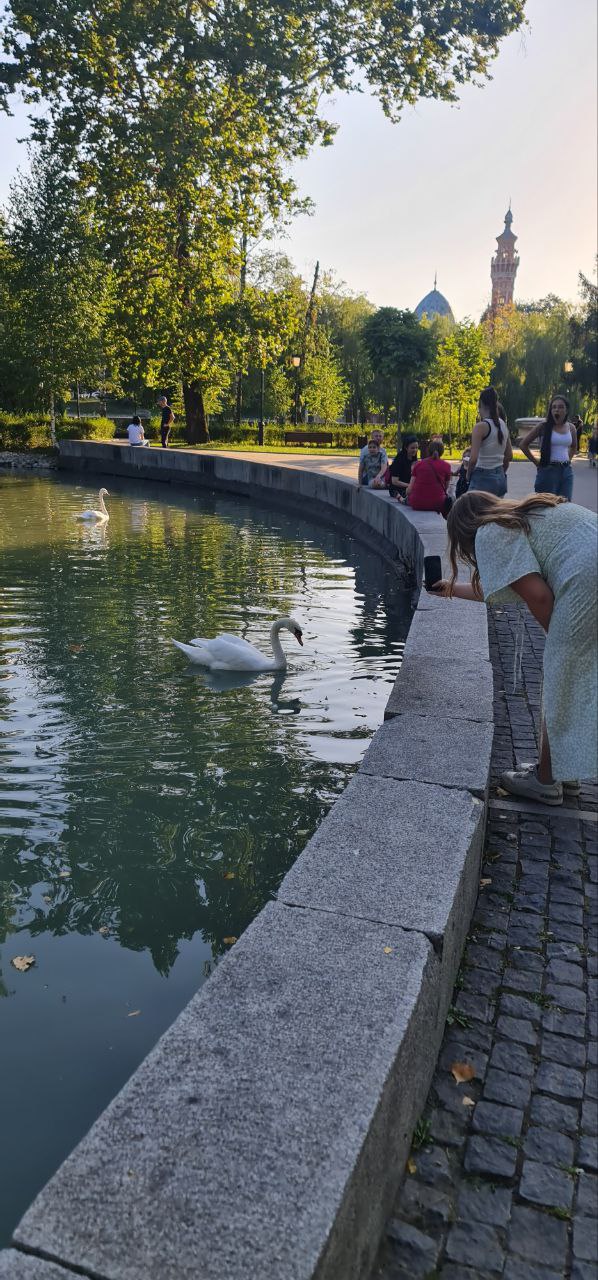 Осетия - Ингушетия. Всё включено: горы, кухня и танцы! (24/52)