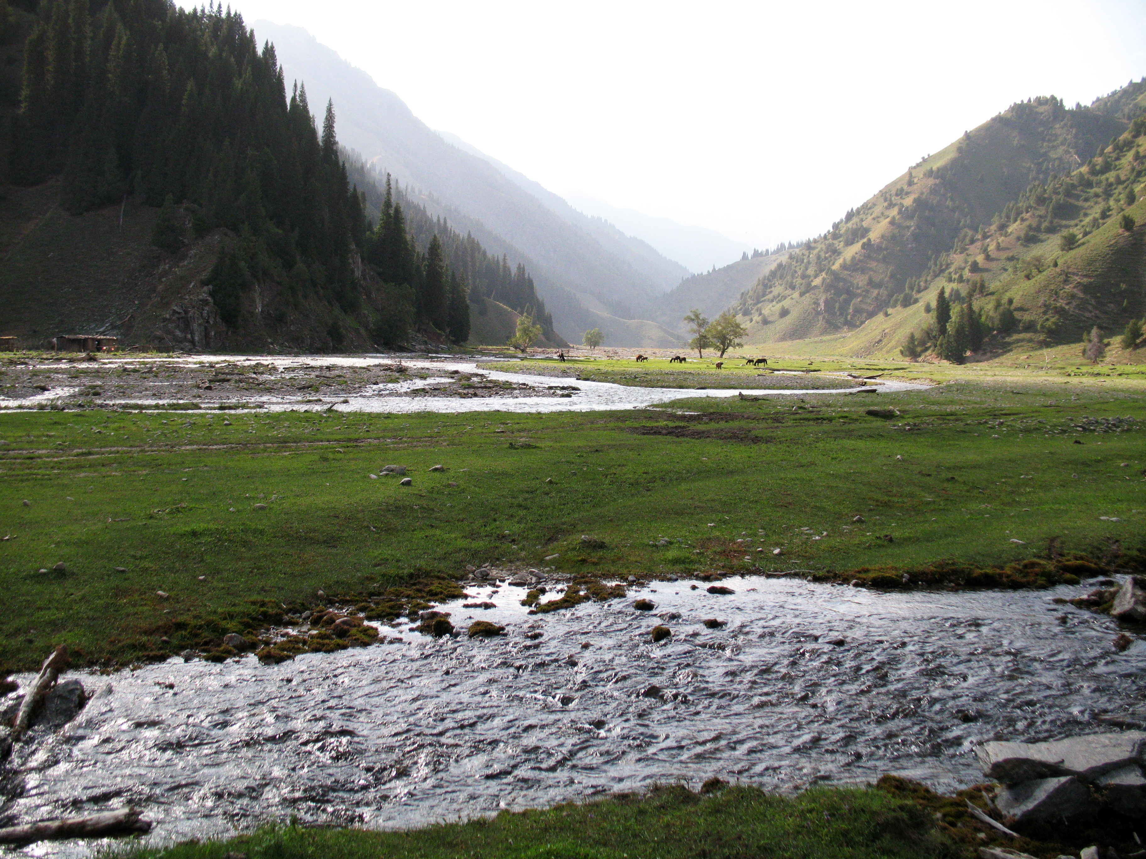 Красивейший треккинг налегке к озеру Сары-Челек - жемчужине Тянь-Шаня. (32/57)