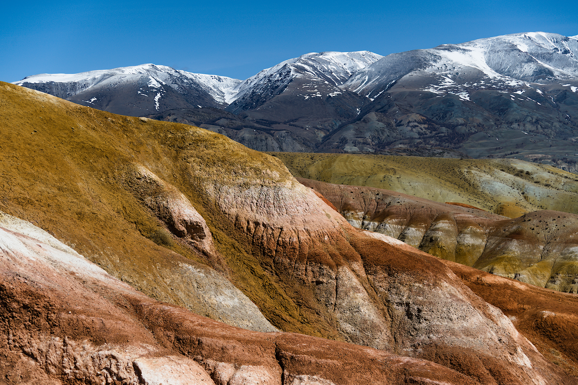 Тур по цветущему Алтаю с трекингами налегке (24/39)
