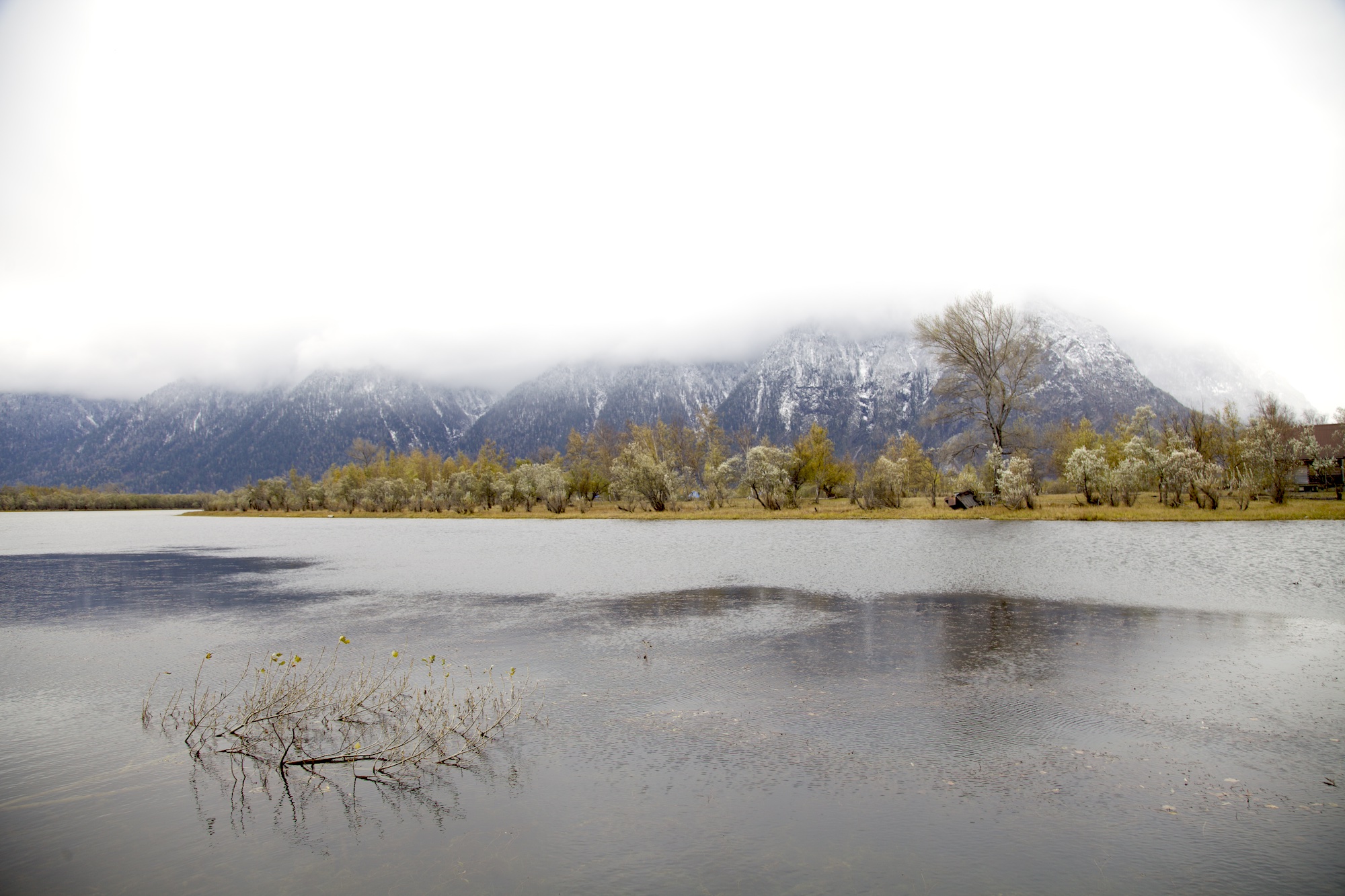 Очарование зимнего Алтая (4/48)