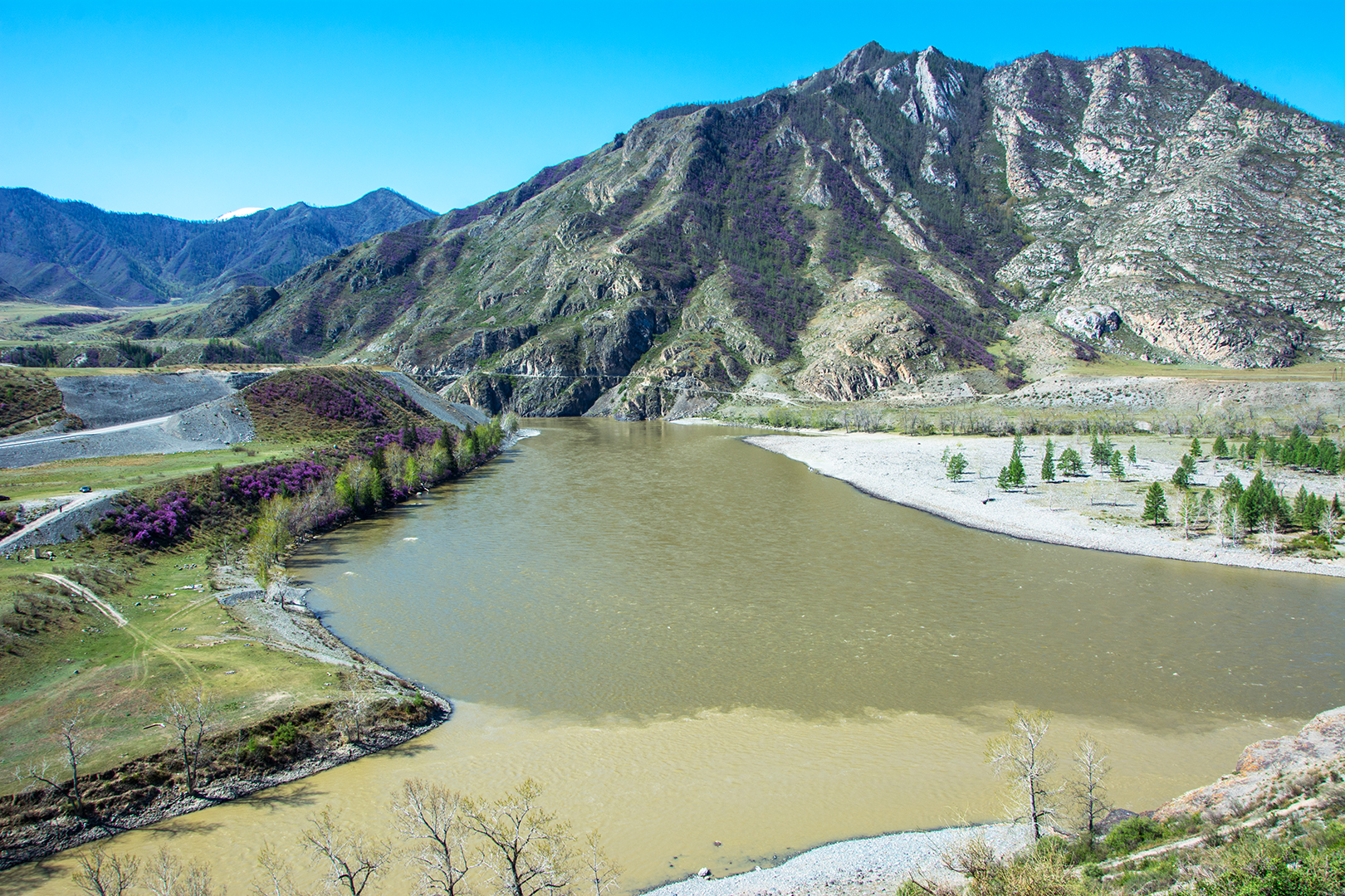Цветение маральника. Индивидуальный тур. (39/58)