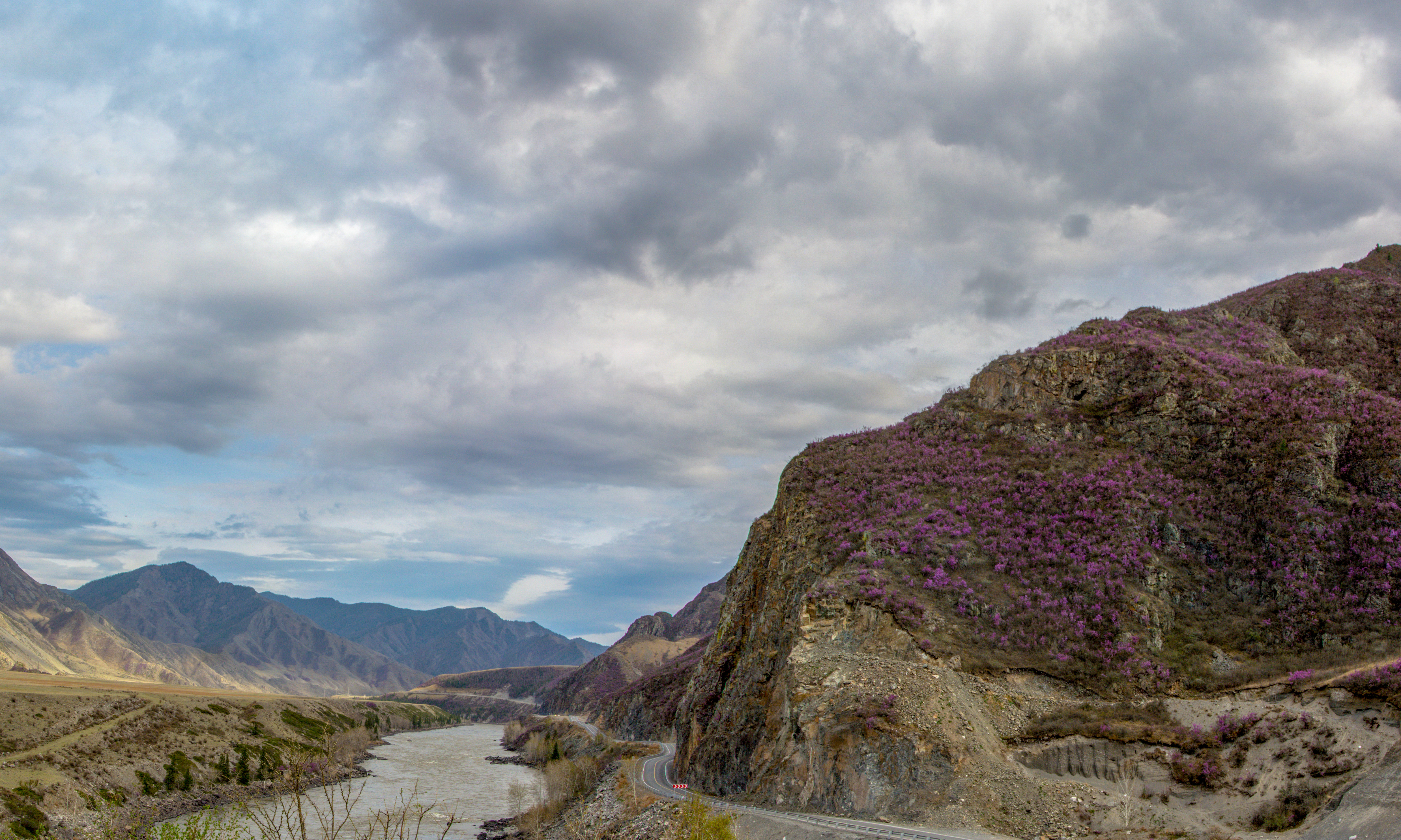 Цветение маральника. Индивидуальный тур. (38/58)