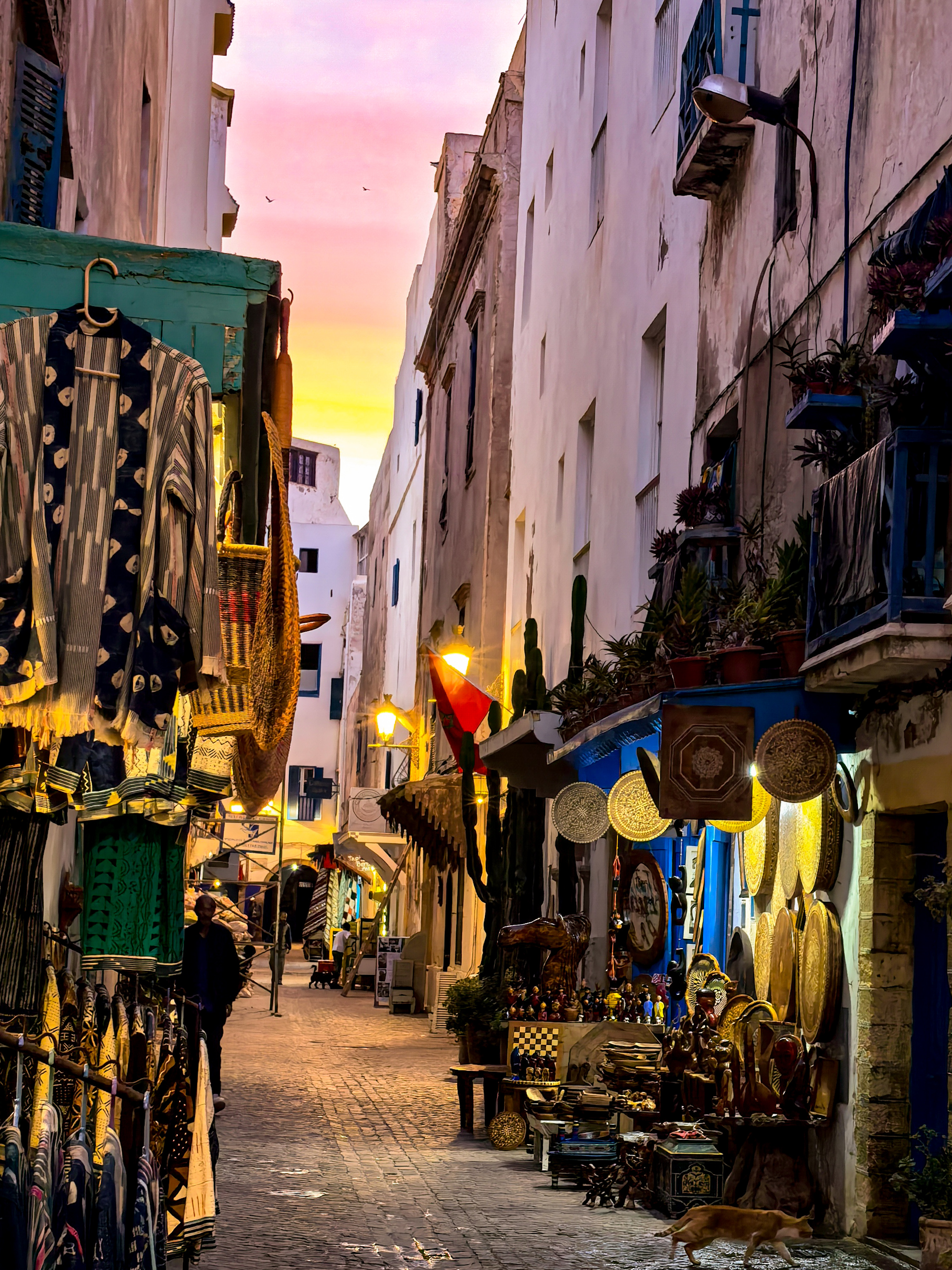 Марокко: от Атлантики до Сахары, экспедиция по всей стране (12/49)