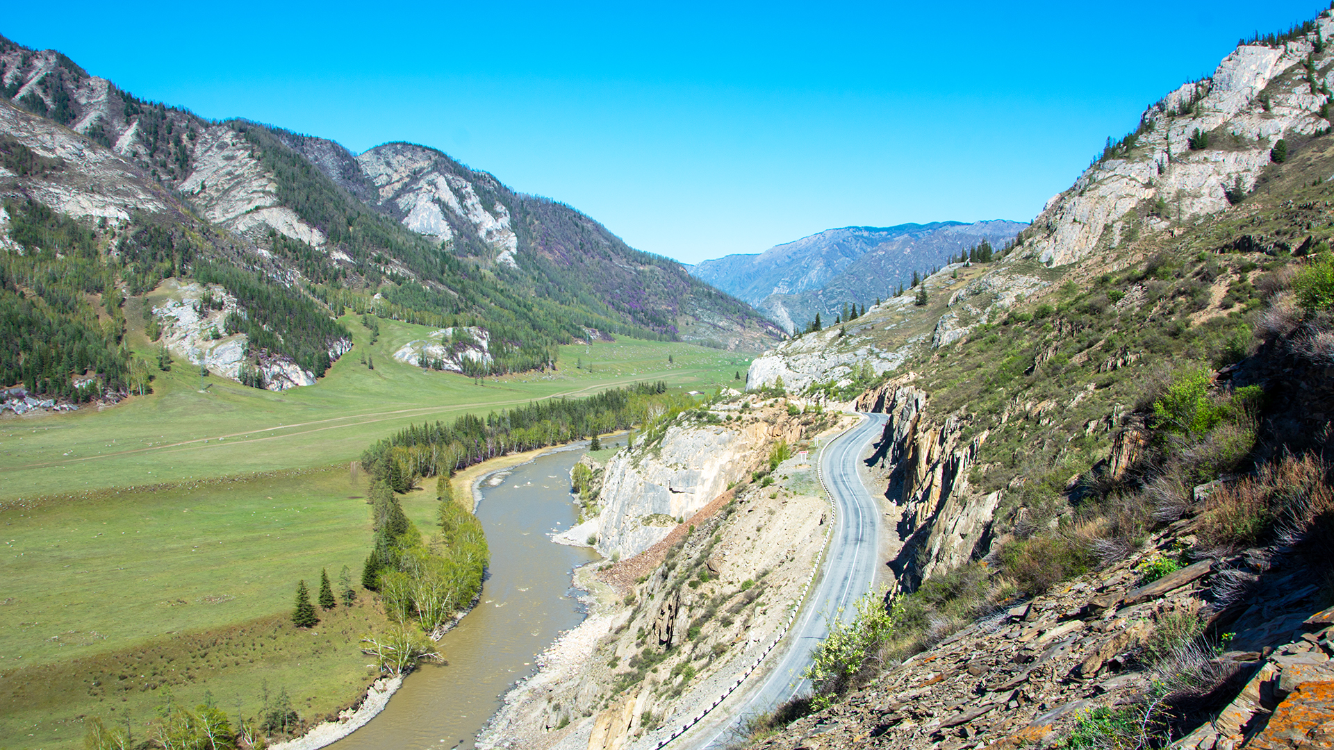 Цветение маральника. Индивидуальный тур. (44/58)