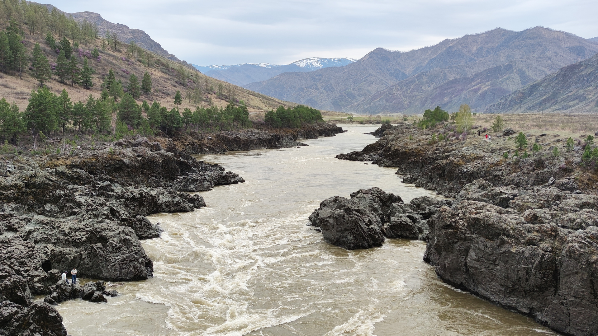 Цветение маральника. Индивидуальный тур. (41/58)