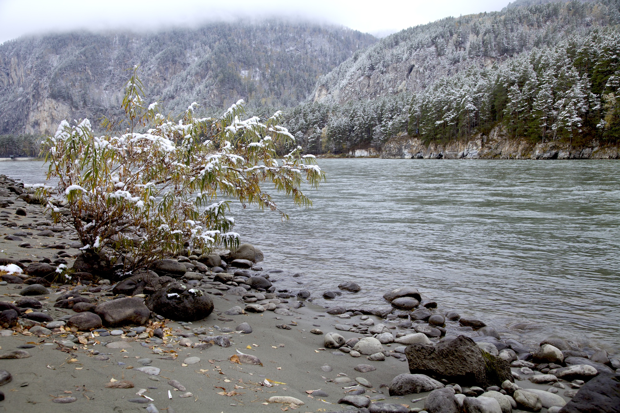 Очарование зимнего Алтая